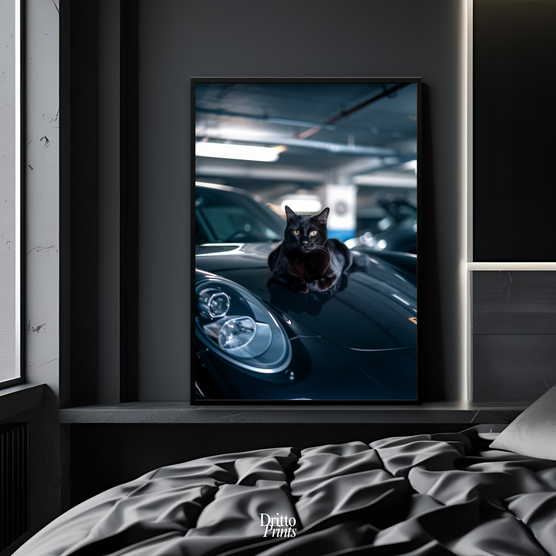 (FD9) Black Cat Turbo - Framed matte paper poster
