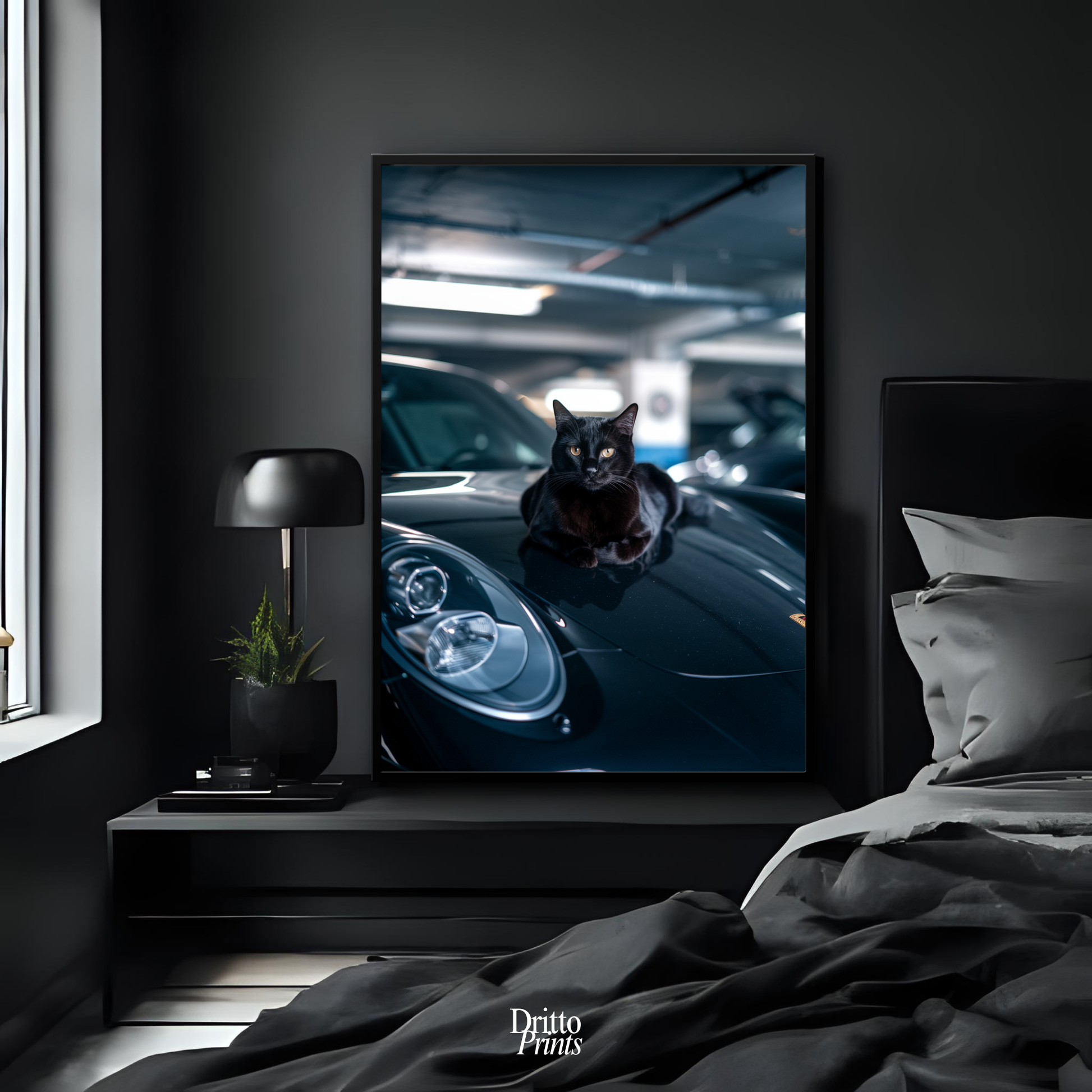 (FD9) Black Cat Turbo - Framed matte paper poster