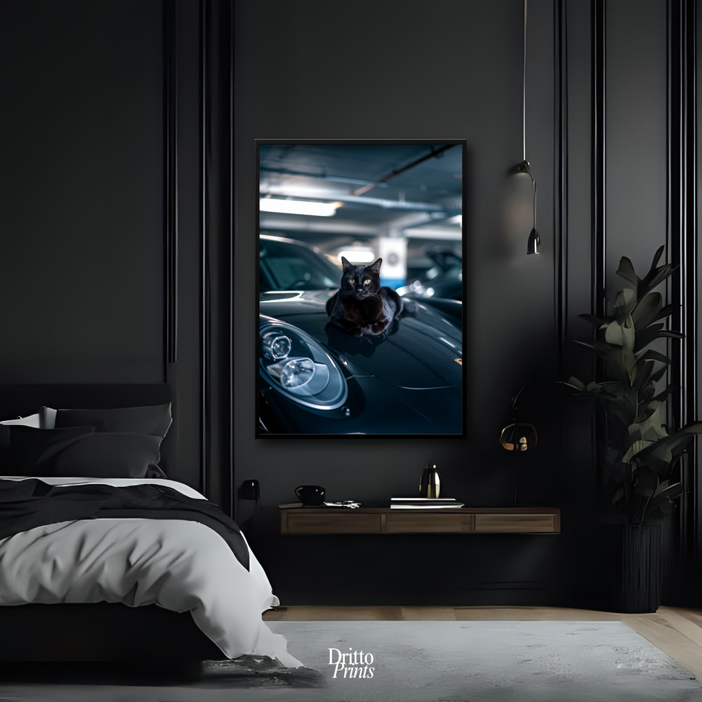 (FD9) Black Cat Turbo - Framed matte paper poster
