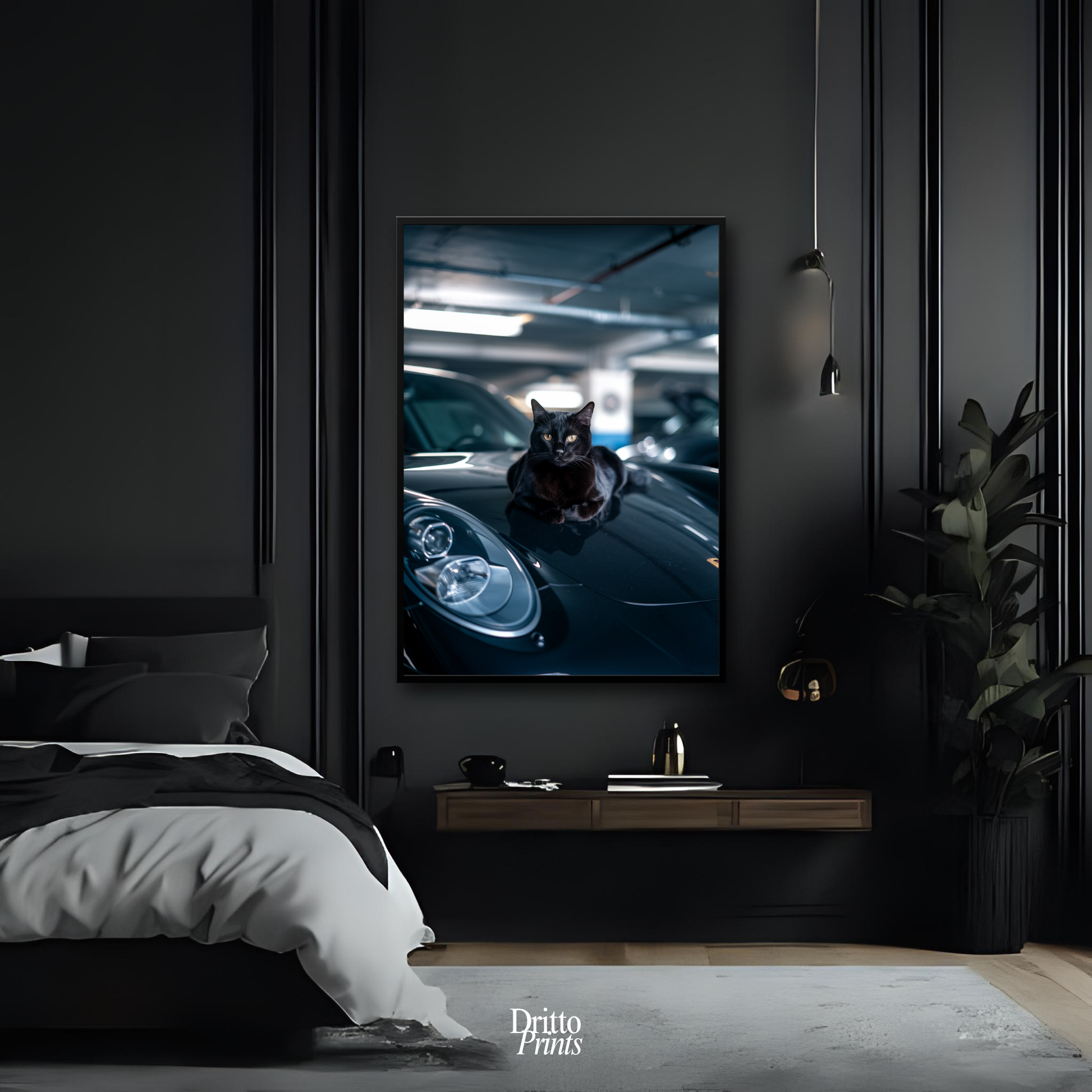 (FD9) Black Cat Turbo - Framed matte paper poster