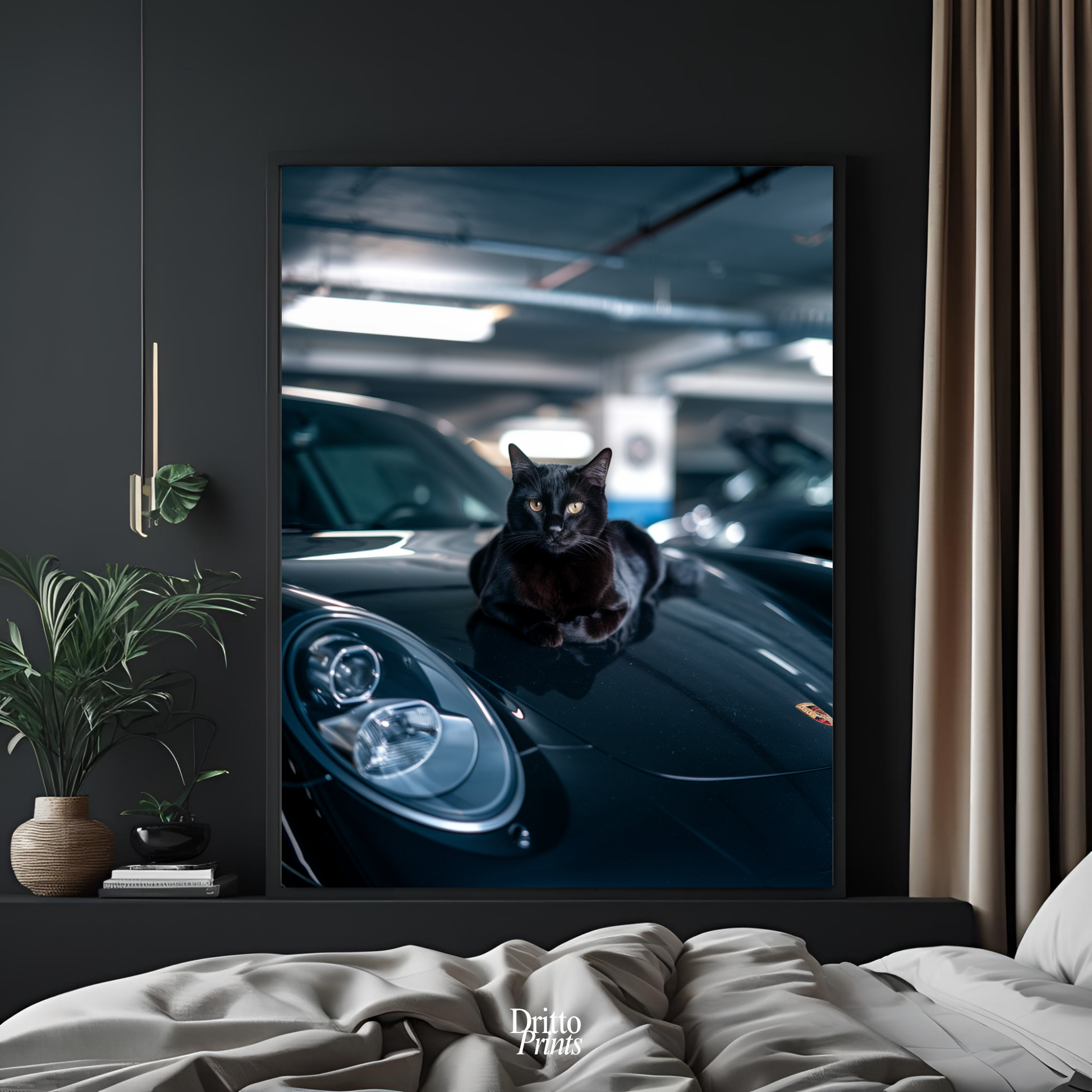 (FD9) Black Cat Turbo - Framed matte paper poster