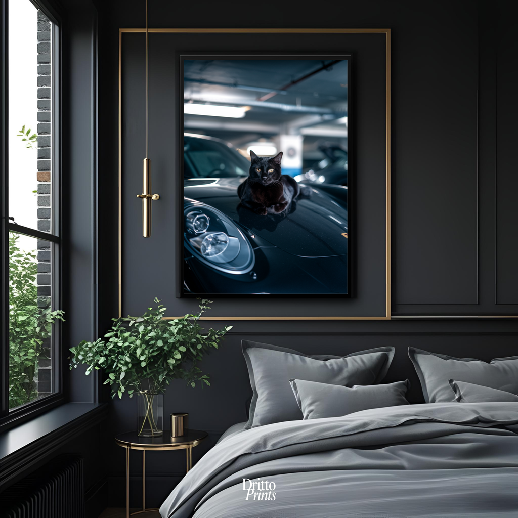 (FD9) Black Cat Turbo - Framed matte paper poster