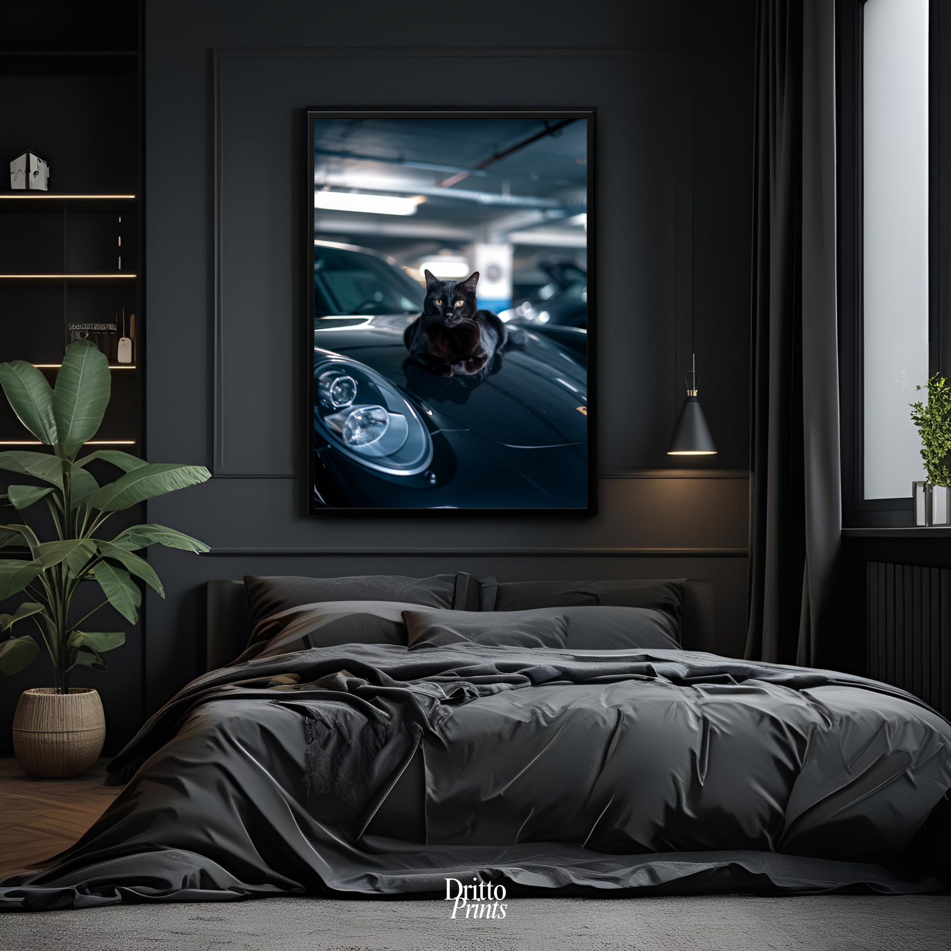 (FD9) Black Cat Turbo - Framed matte paper poster