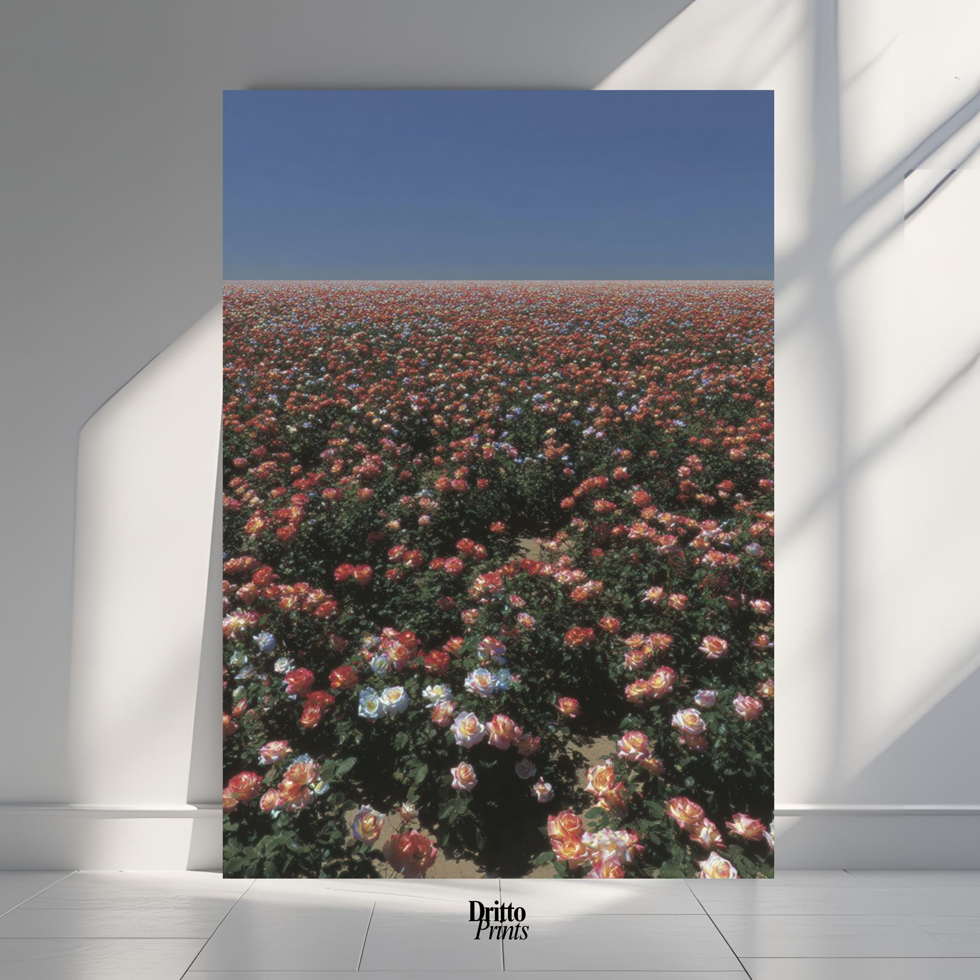 (PD28) Sea of Roses - Poster