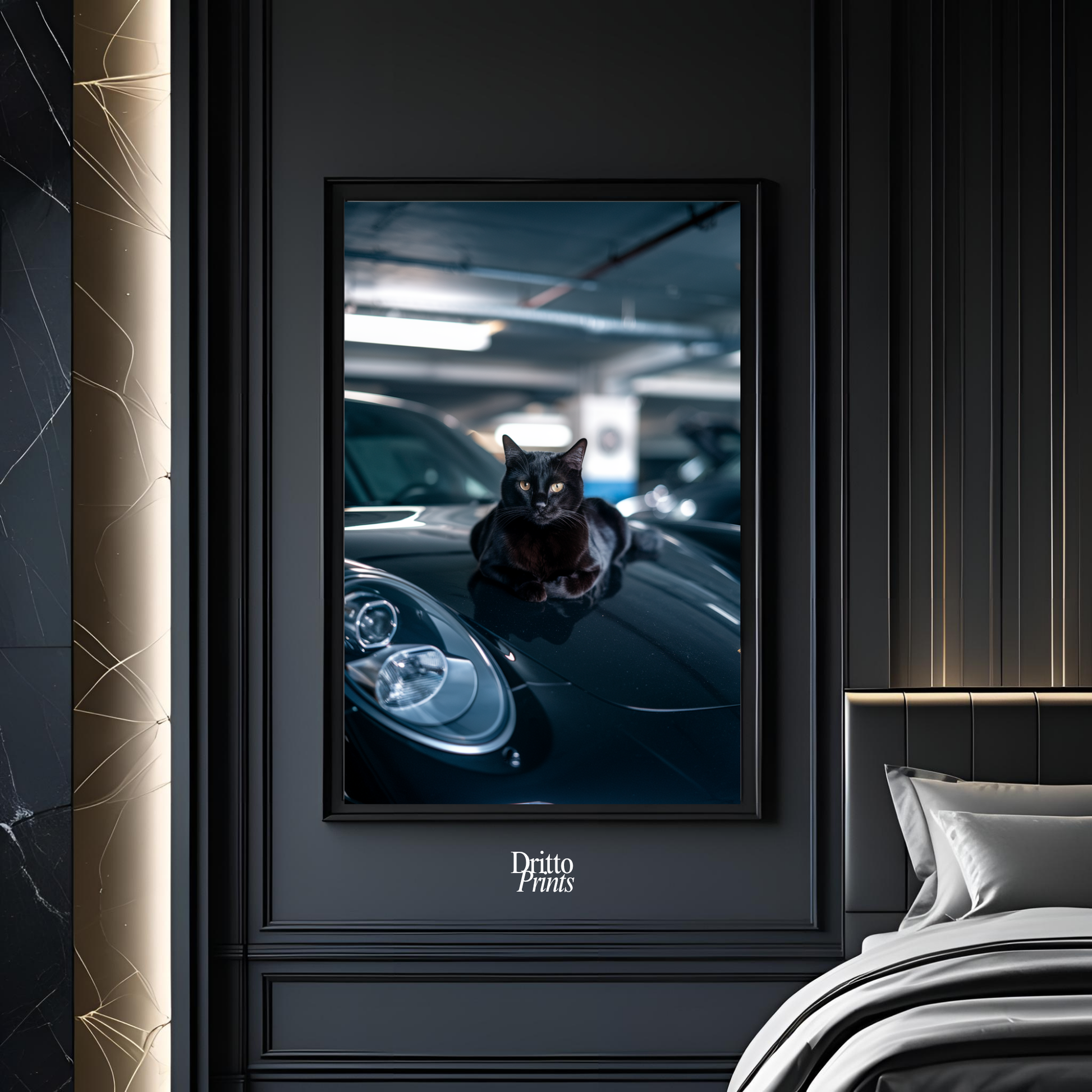(FD9) Black Cat Turbo - Framed matte paper poster
