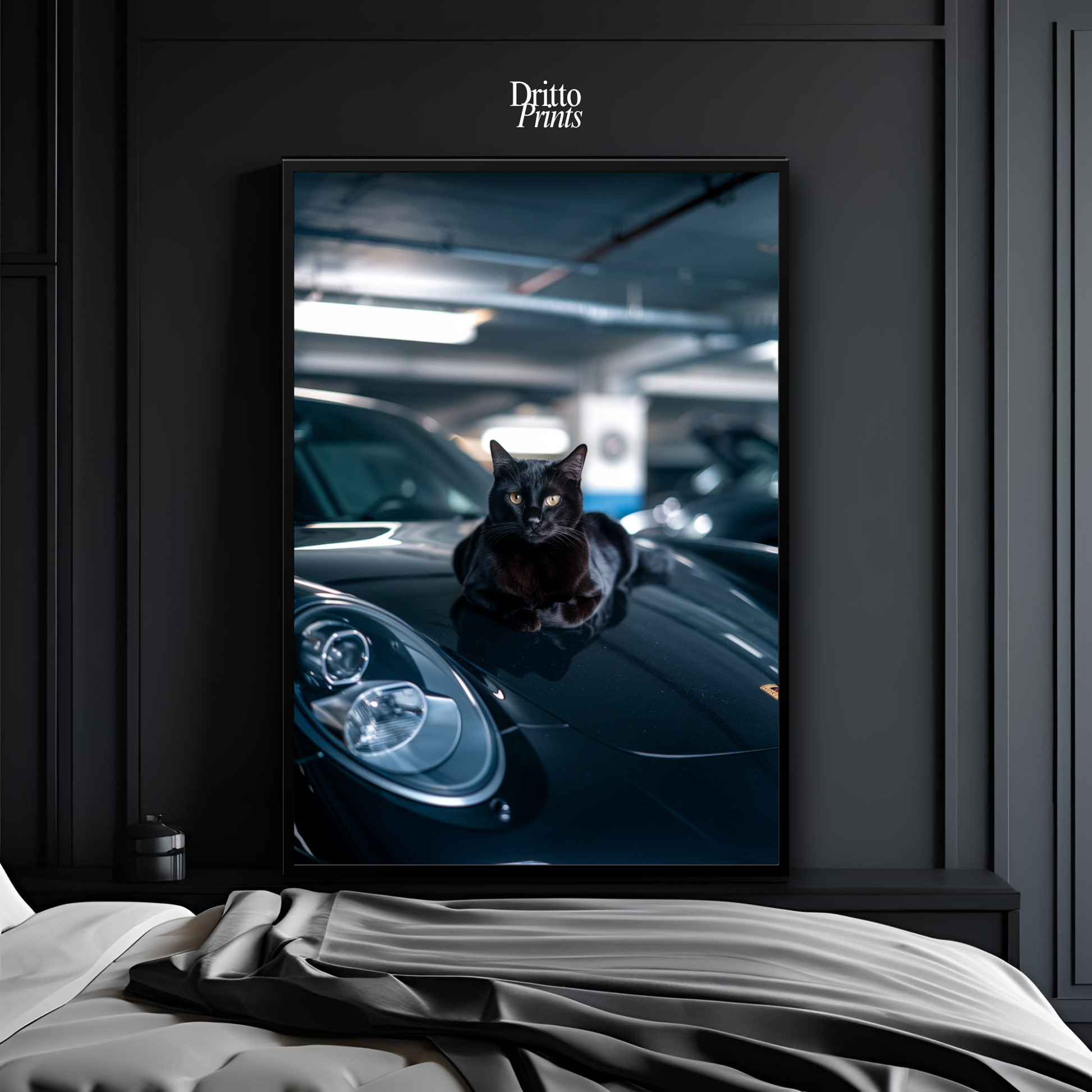 (FD9) Black Cat Turbo - Framed matte paper poster