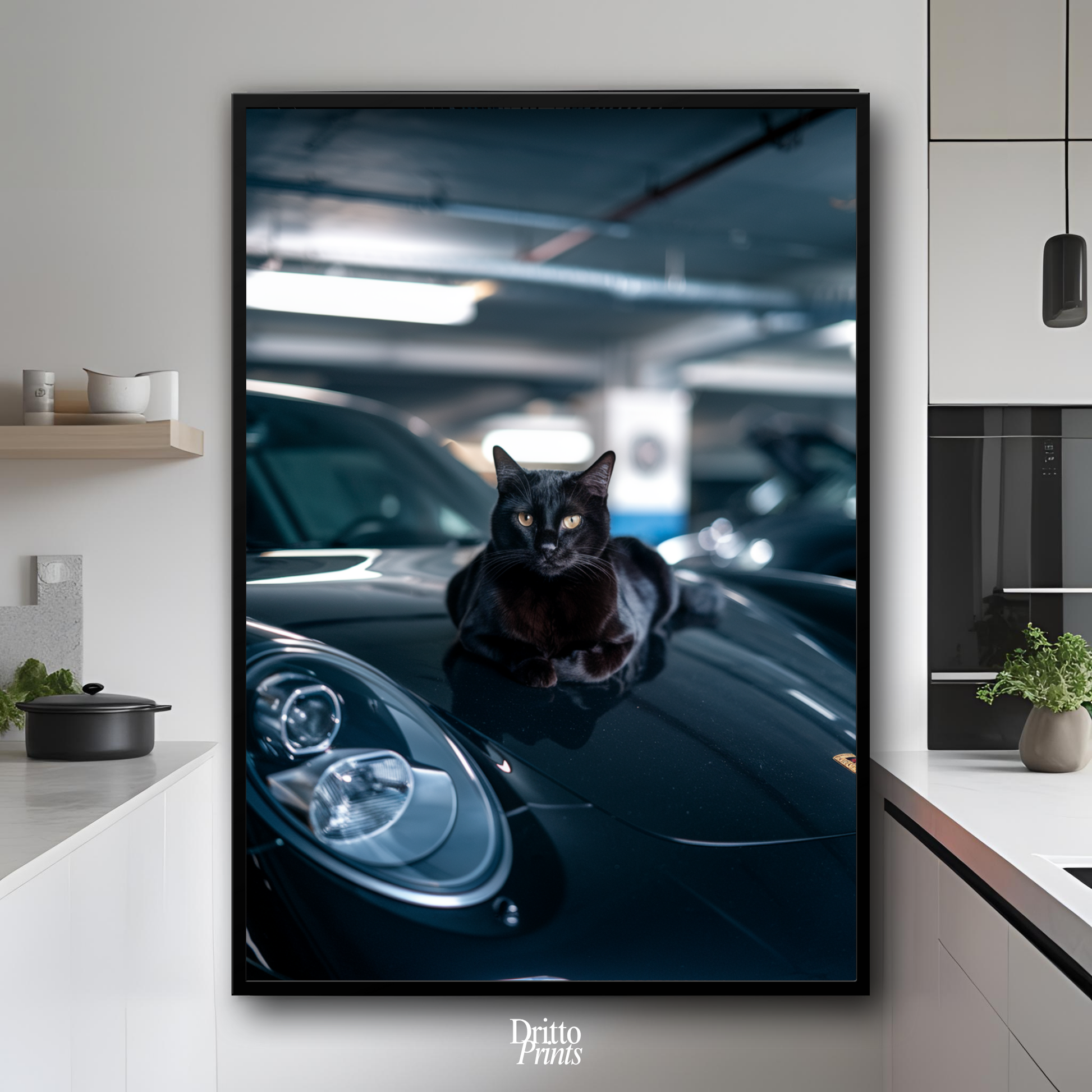 (FD9) Black Cat Turbo - Framed matte paper poster
