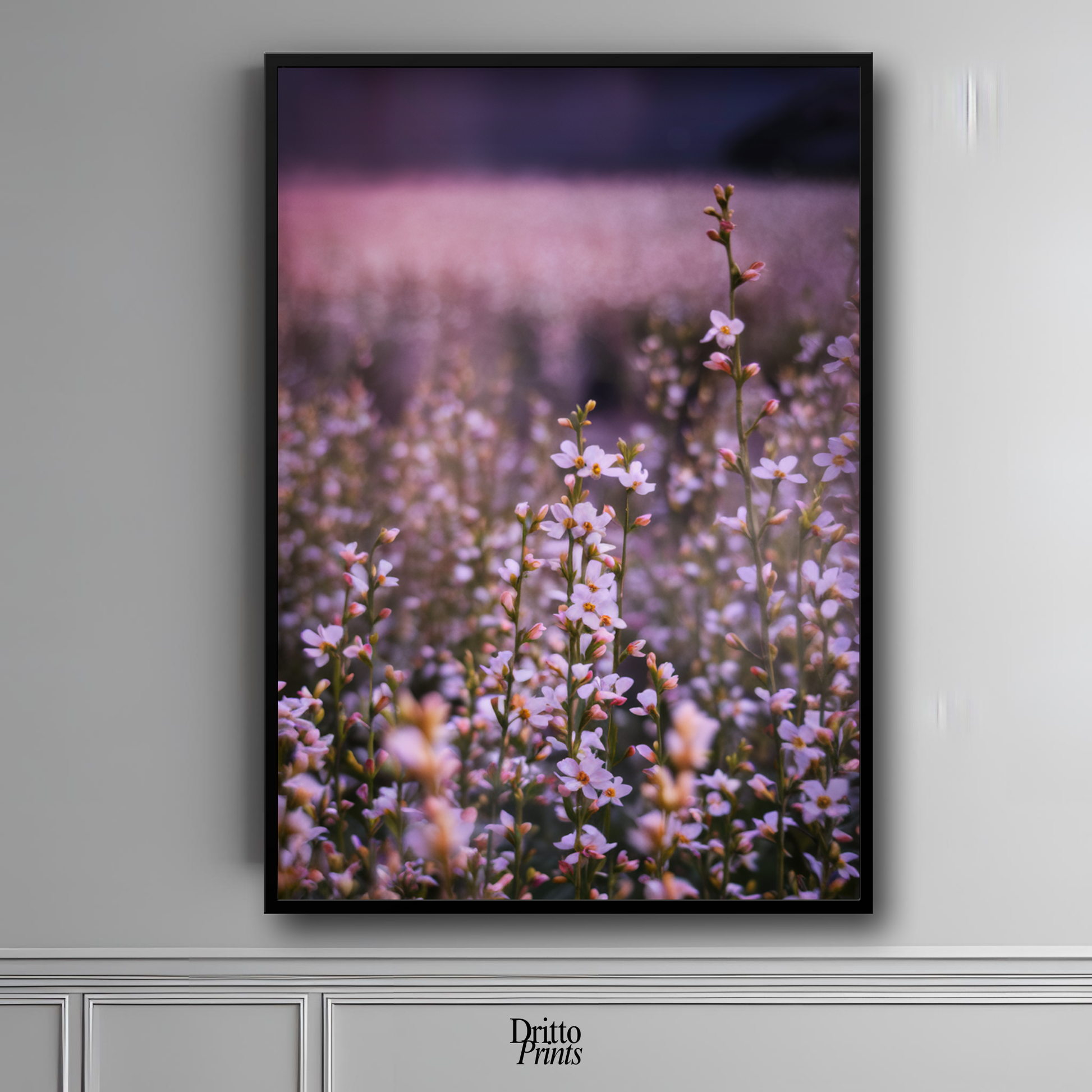 (FD23) Bloom Before the Fade - Framed matte paper poster