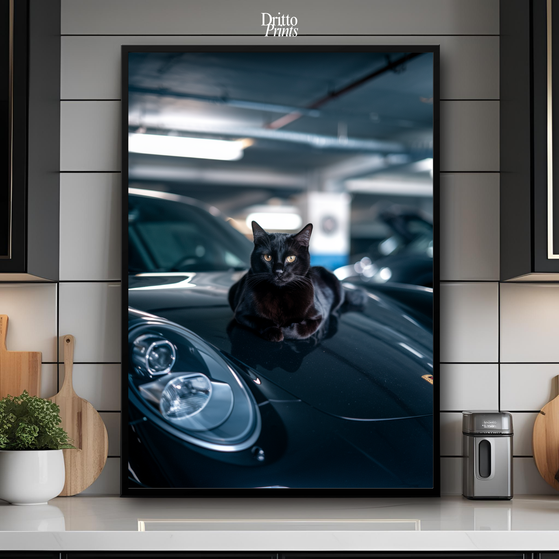 (FD9) Black Cat Turbo - Framed matte paper poster