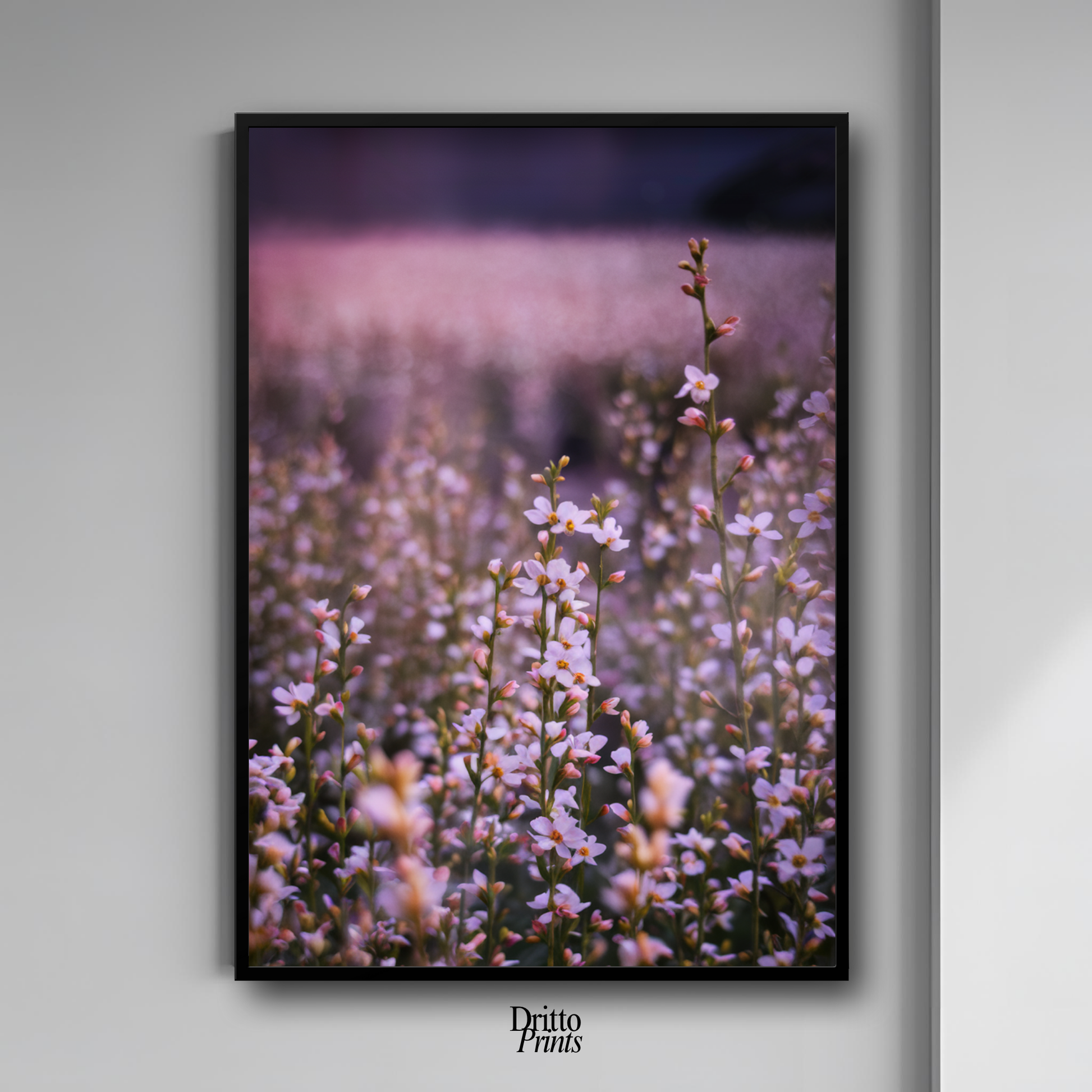 (FD23) Bloom Before the Fade - Framed matte paper poster