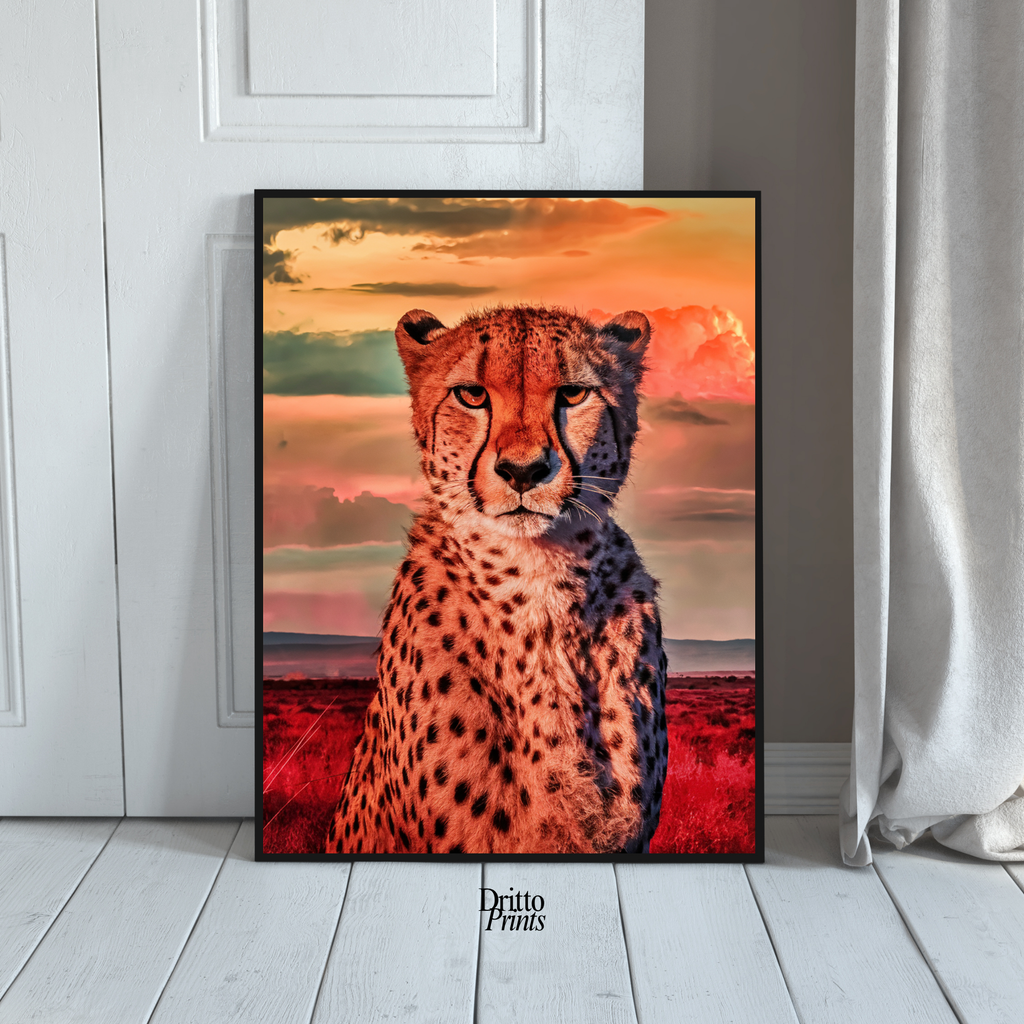 (FD12) Speed & Sky - Framed matte paper poster