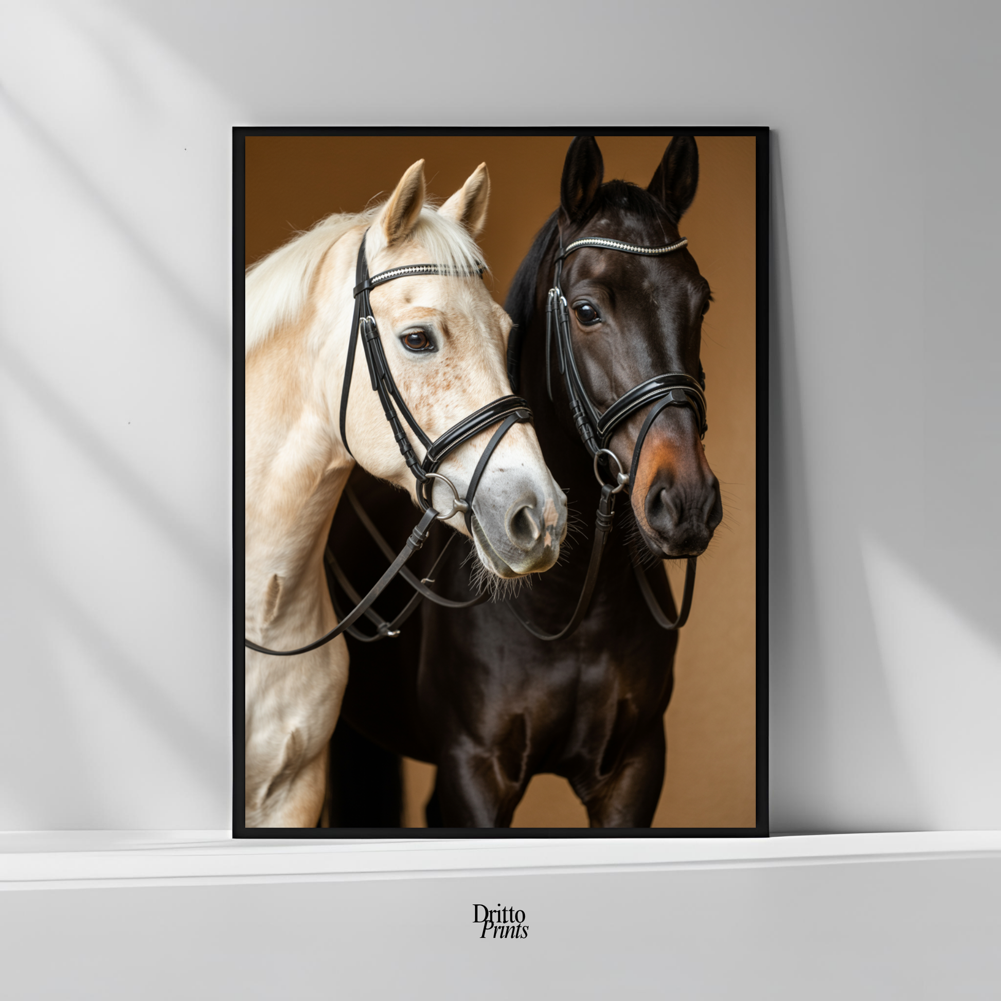 (FD22) Harmony in Contrast - Framed matte paper poster