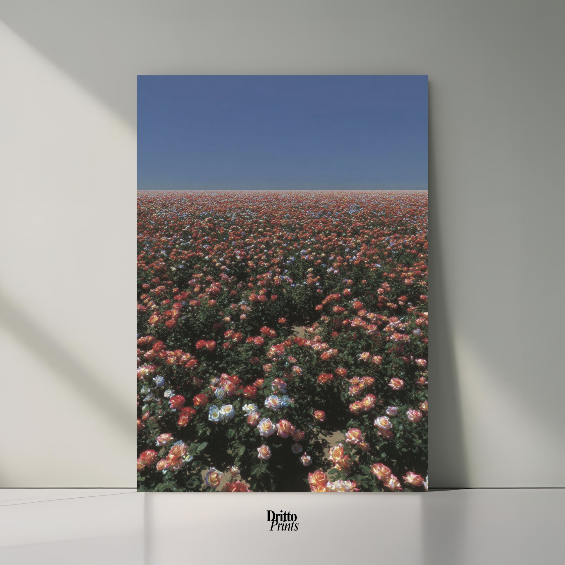 (PD28) Sea of Roses - Poster
