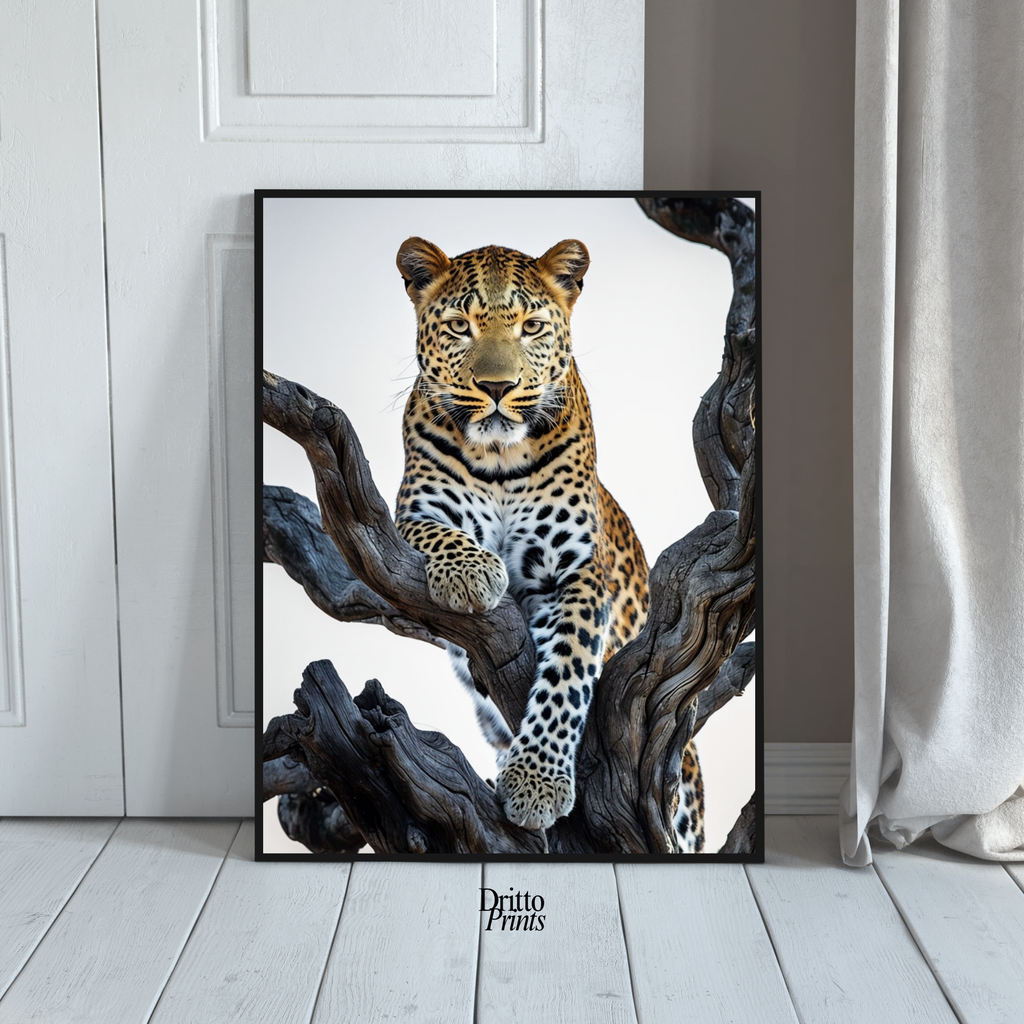 (FD14) Elegance Above All - Framed matte paper poster