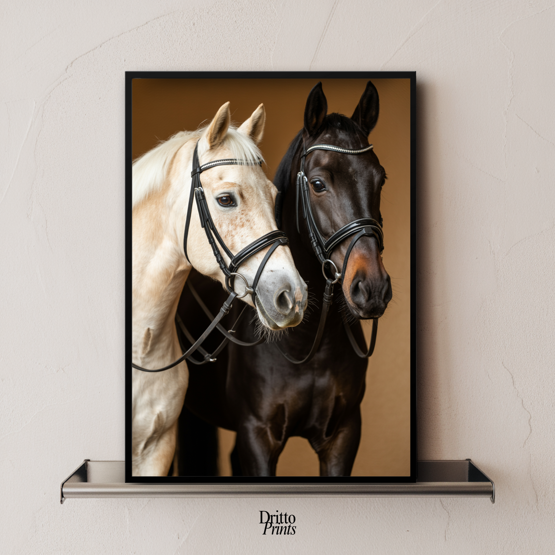 (FD22) Harmony in Contrast - Framed matte paper poster
