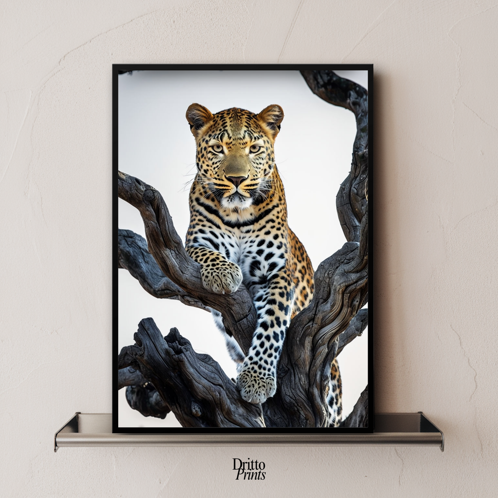 (FD14) Elegance Above All - Framed matte paper poster