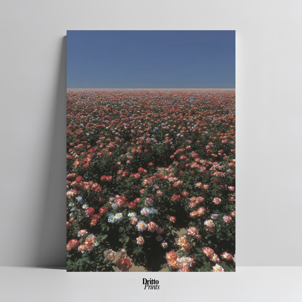 (PD28) Sea of Roses - Poster