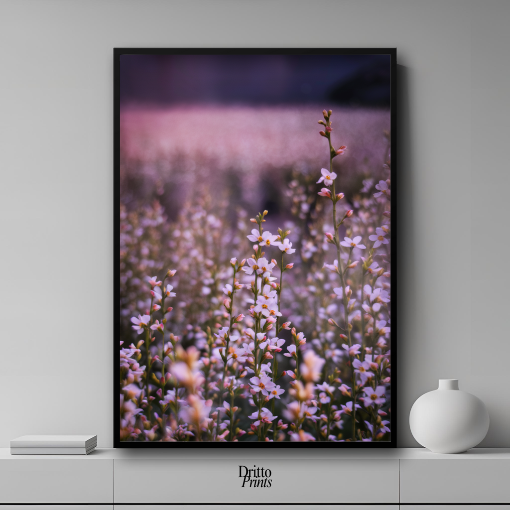 (FD23) Bloom Before the Fade - Framed matte paper poster