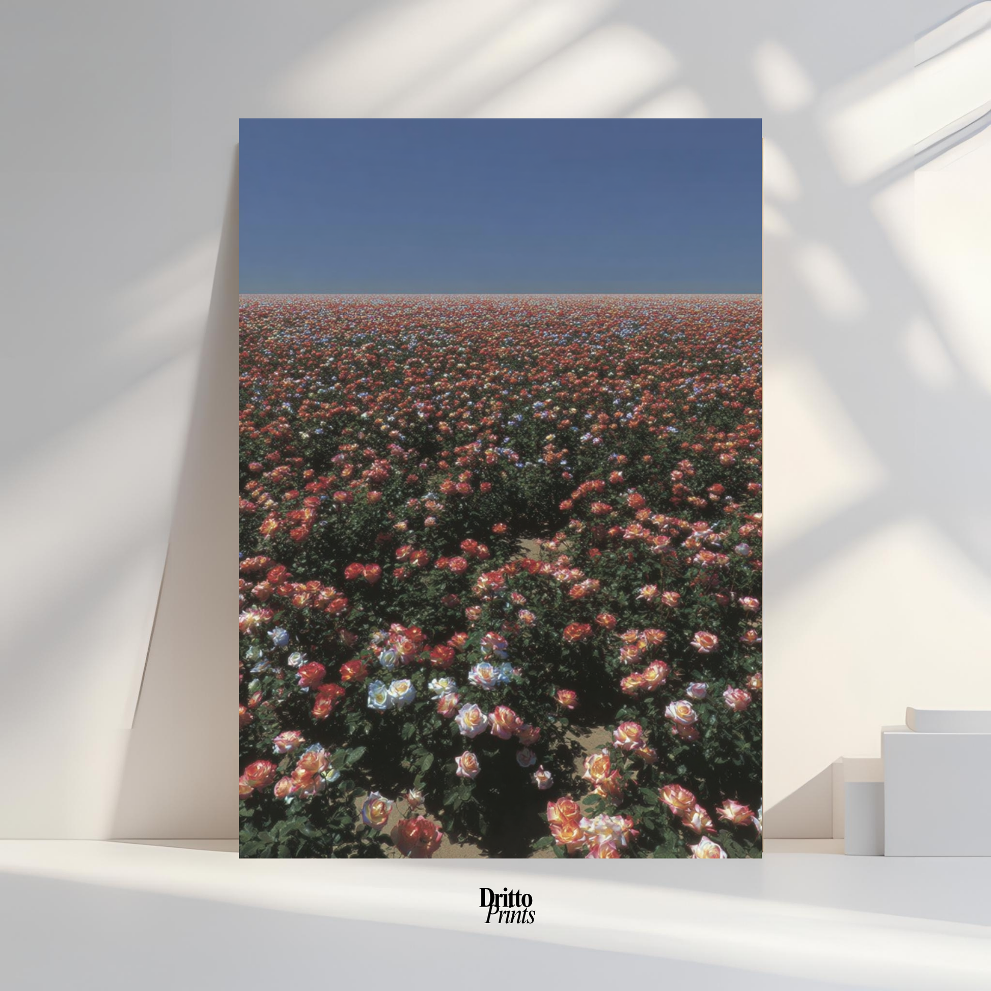 (PD28) Sea of Roses - Poster