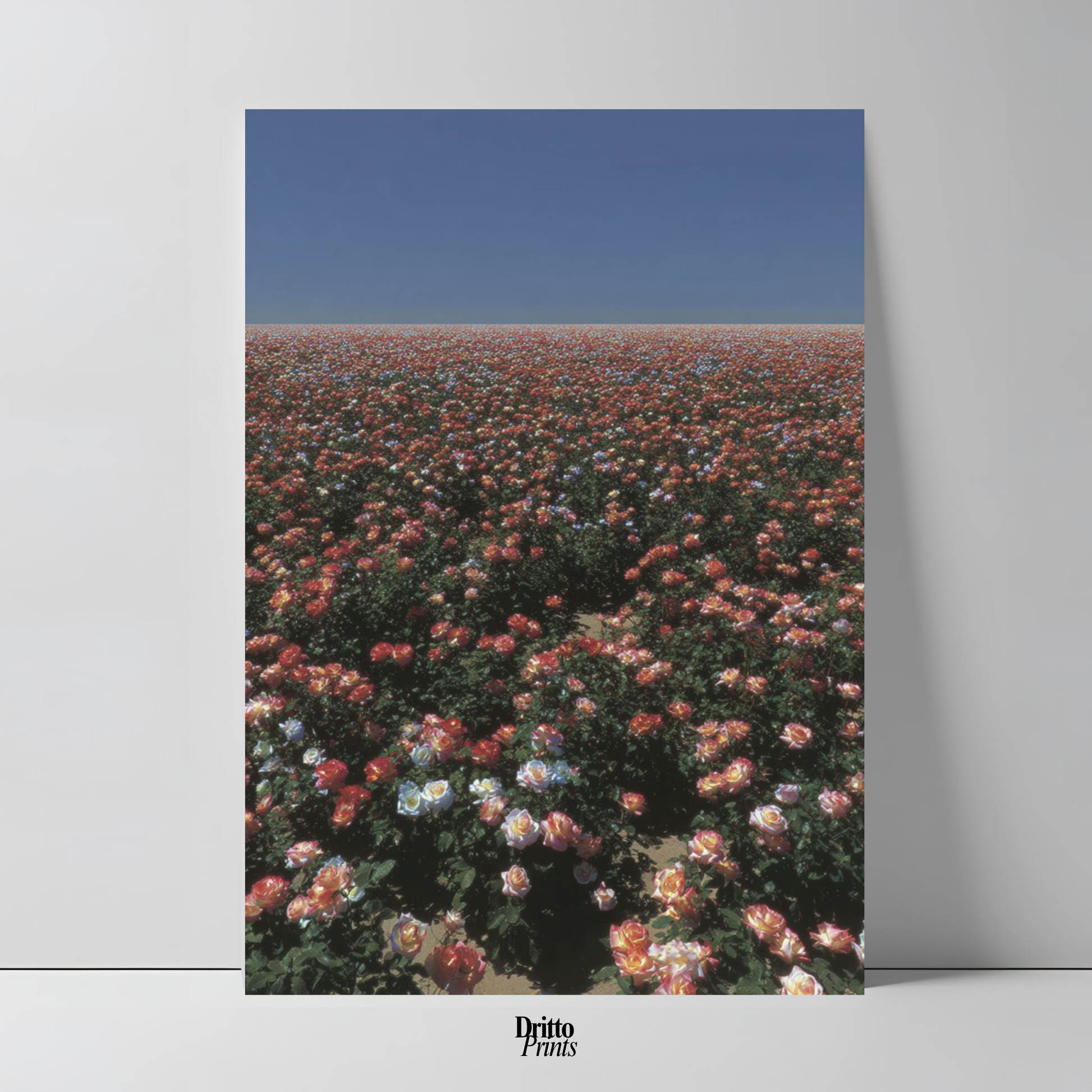 (PD28) Sea of Roses - Poster