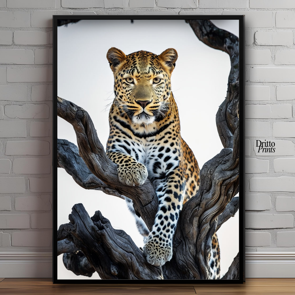 (FD14) Elegance Above All - Framed matte paper poster