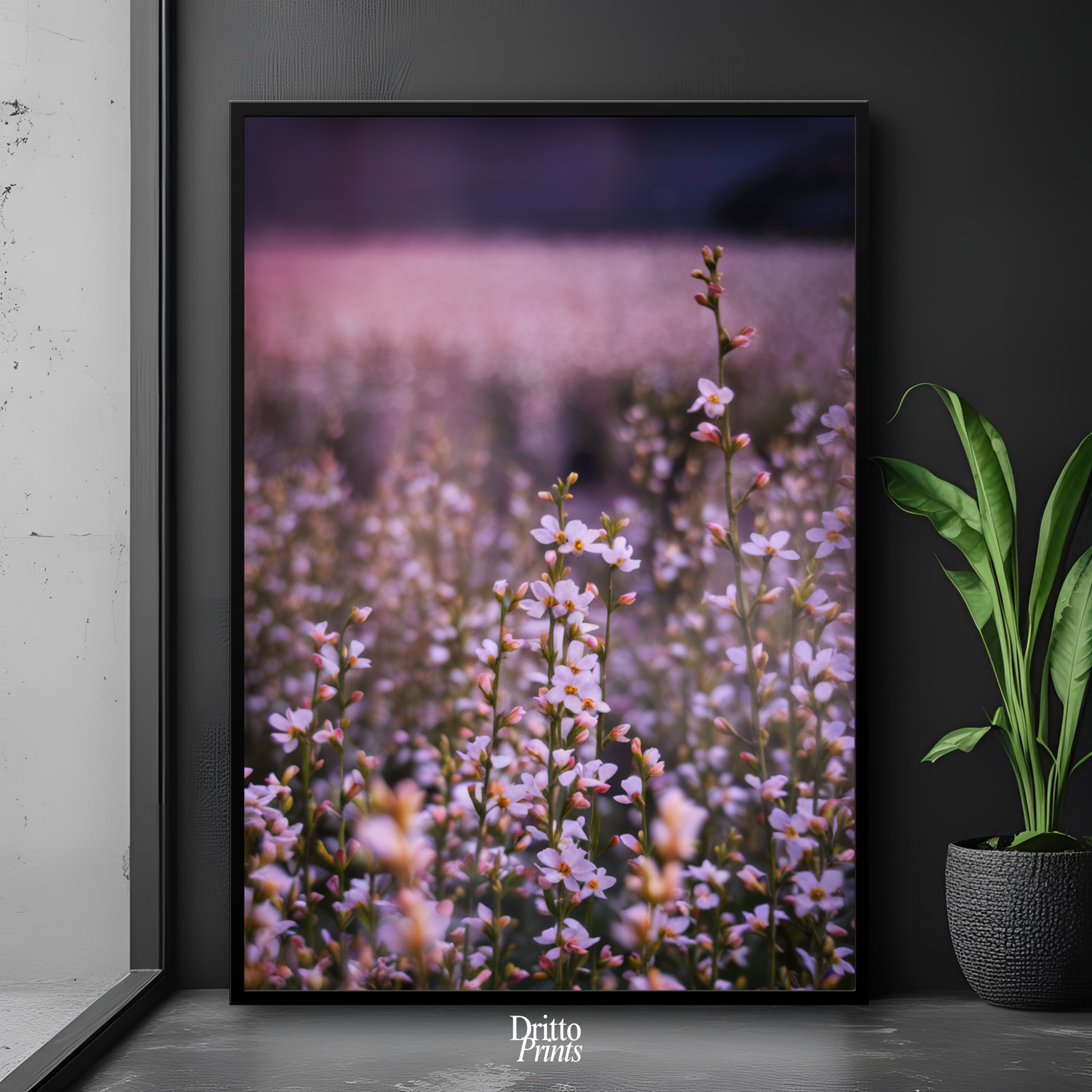 (FD23) Bloom Before the Fade - Framed matte paper poster