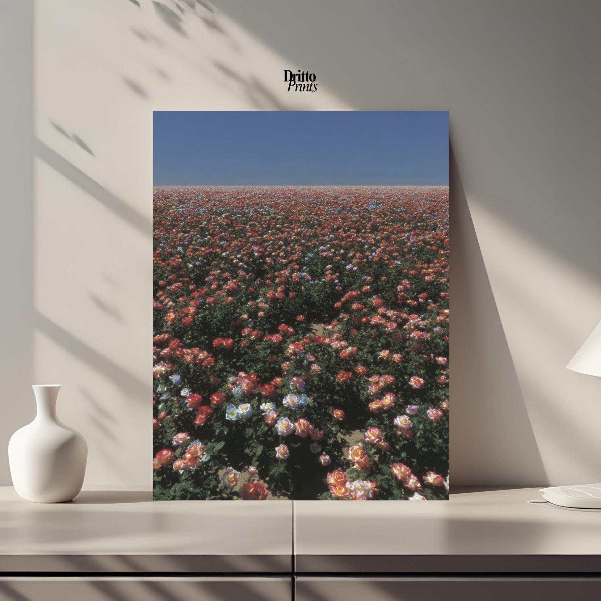 (PD28) Sea of Roses - Poster