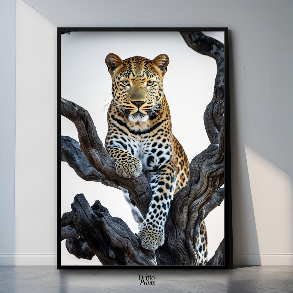 (FD14) Elegance Above All - Framed matte paper poster