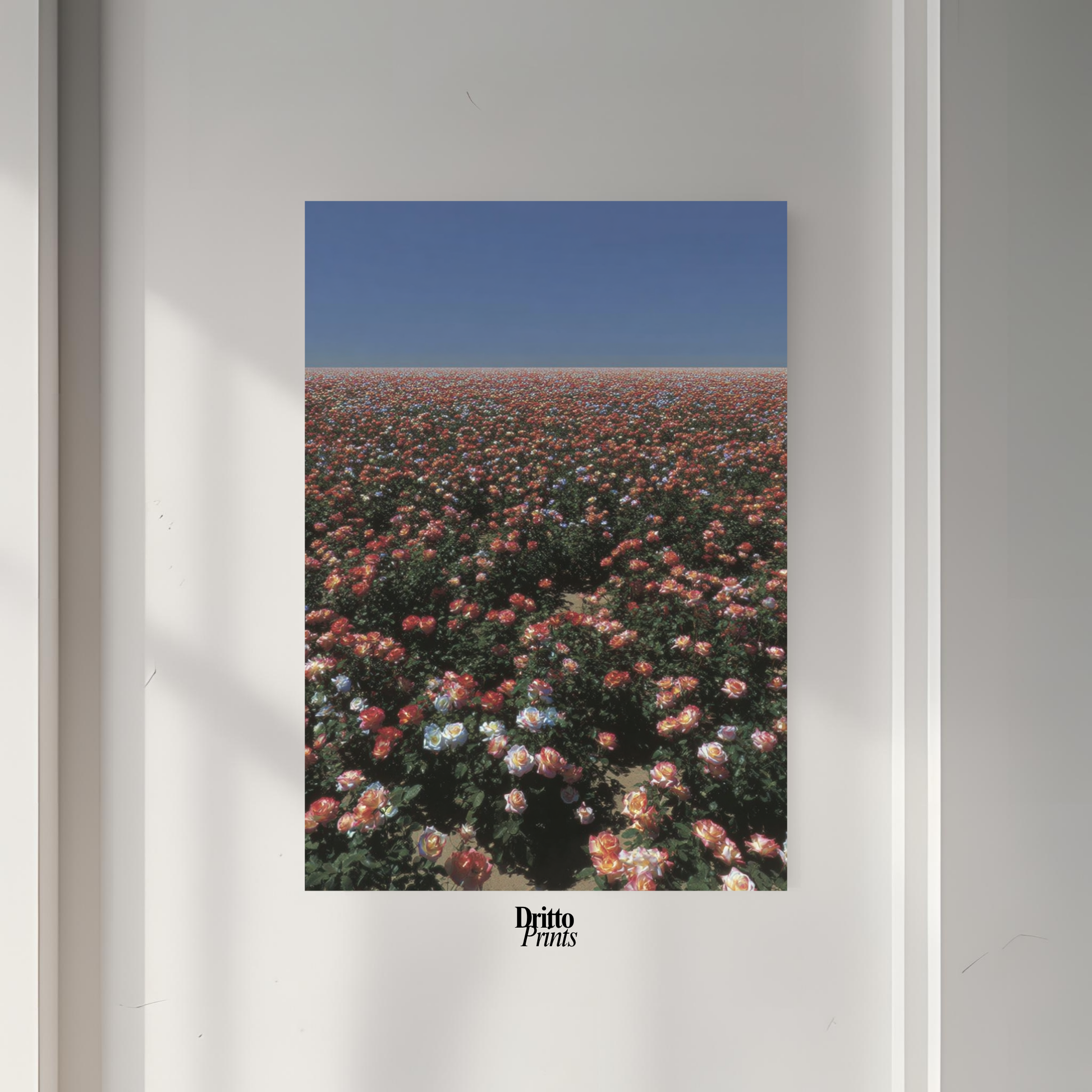 (PD28) Sea of Roses - Poster