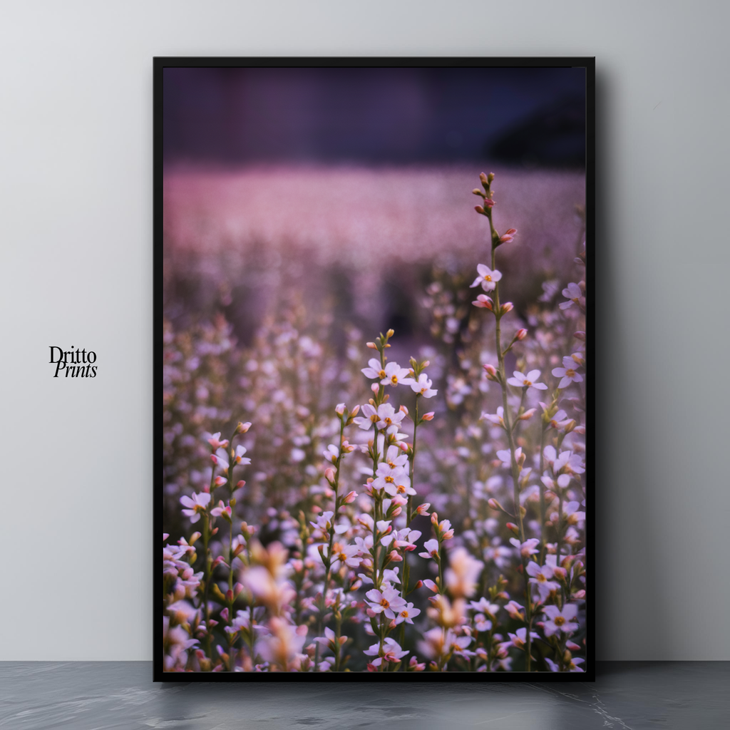 (FD23) Bloom Before the Fade - Framed matte paper poster