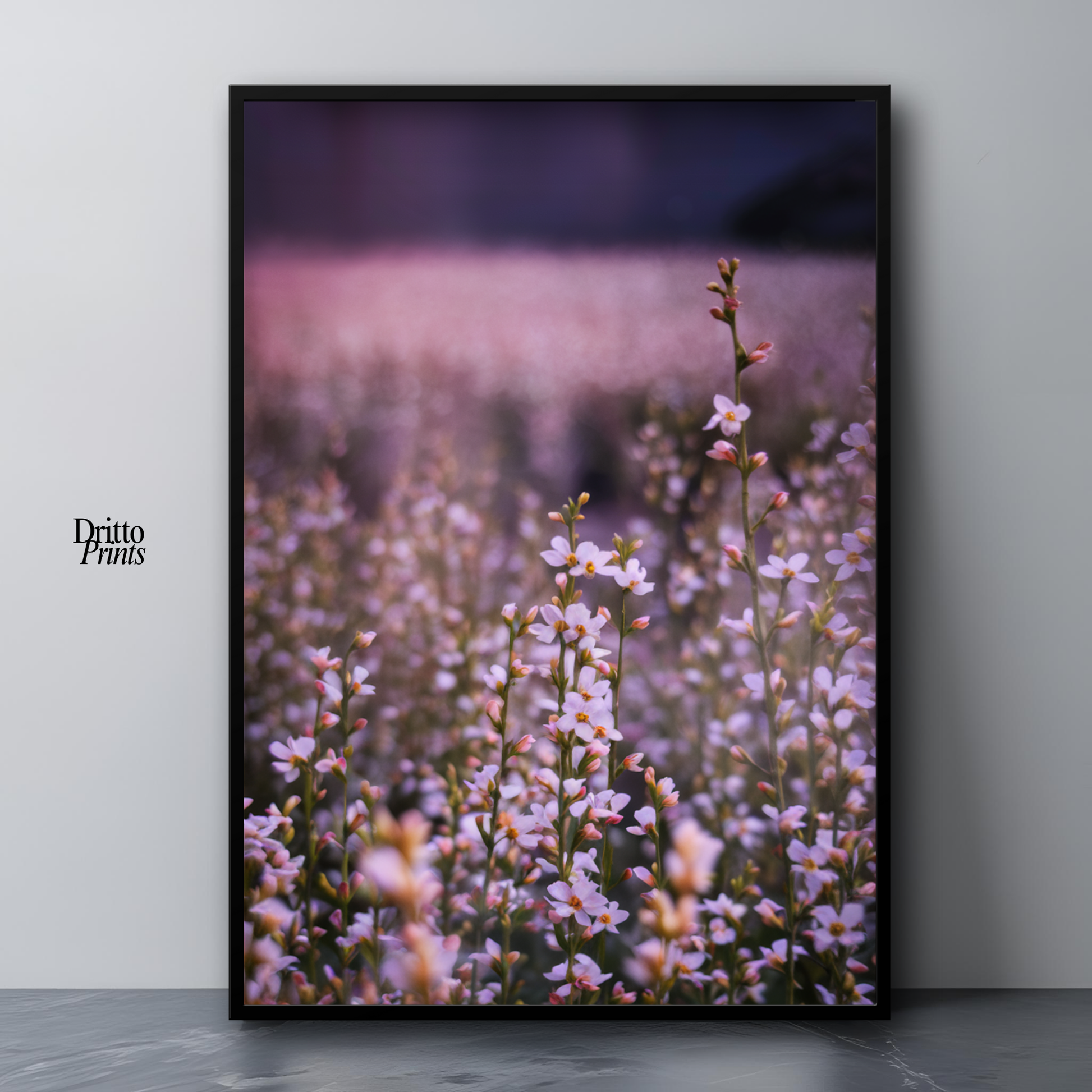 (FD23) Bloom Before the Fade - Framed matte paper poster