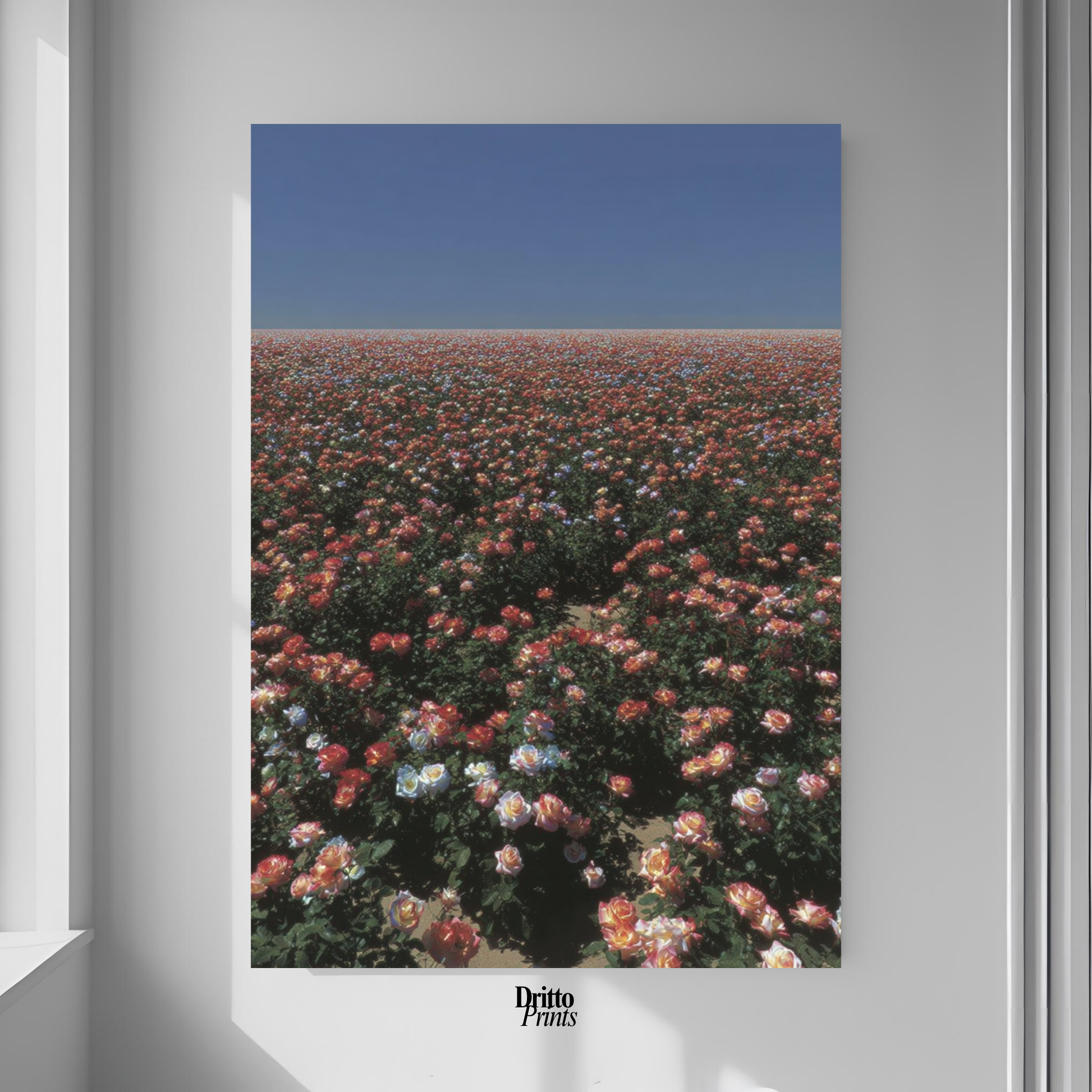 (PD28) Sea of Roses - Poster