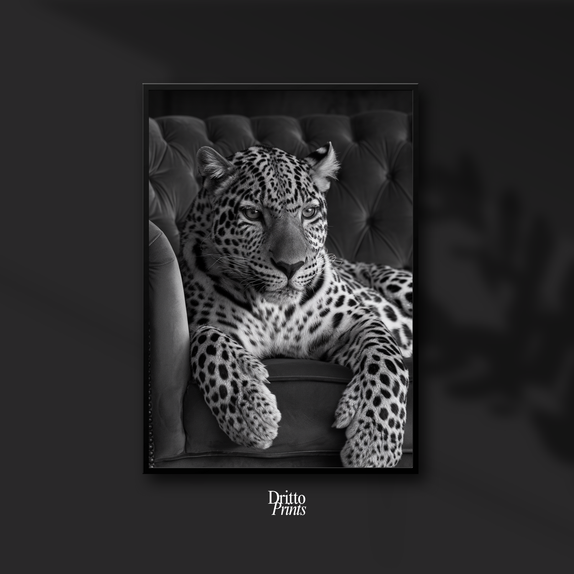 (FD8) The Silent Leopard - Framed matte paper poster
