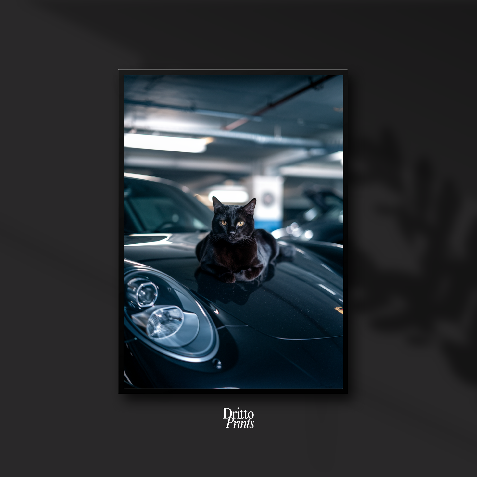 (FD9) Black Cat Turbo - Framed matte paper poster