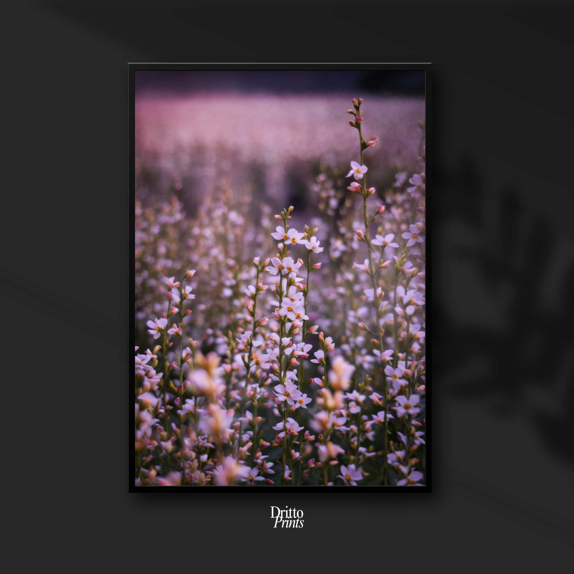 (FD23) Bloom Before the Fade - Framed matte paper poster