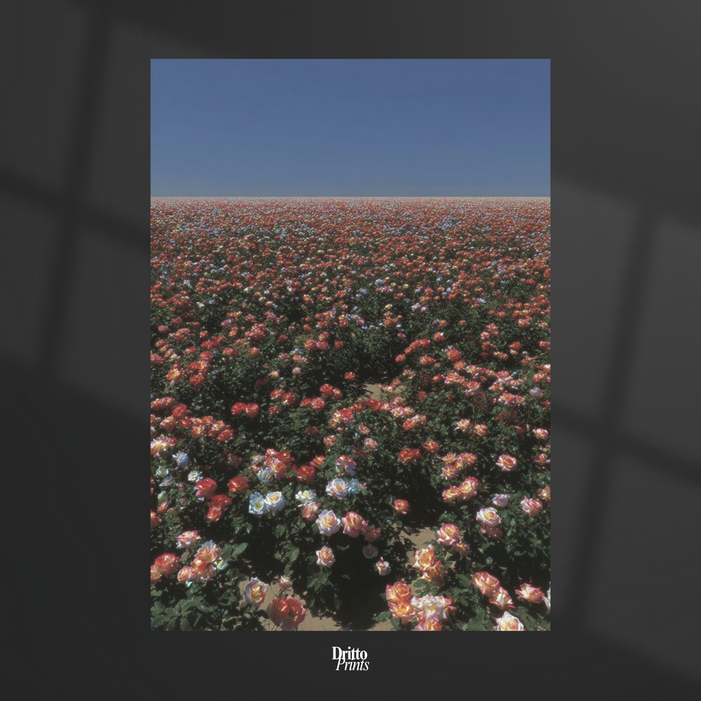 (PD28) Sea of Roses - Poster