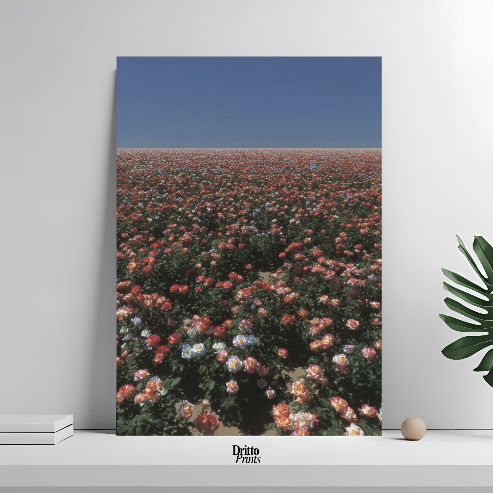 (PD28) Sea of Roses - Poster