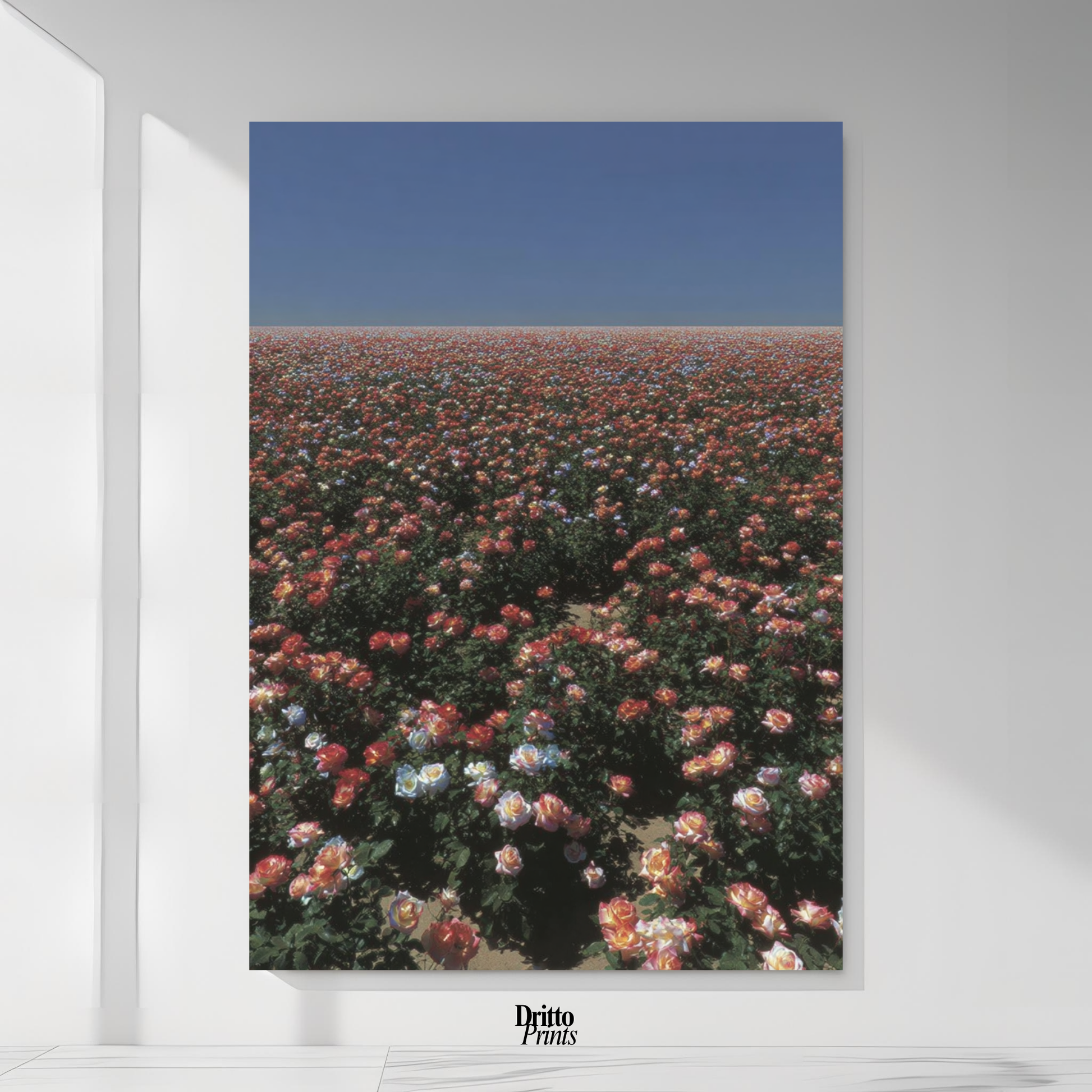 (PD28) Sea of Roses - Poster