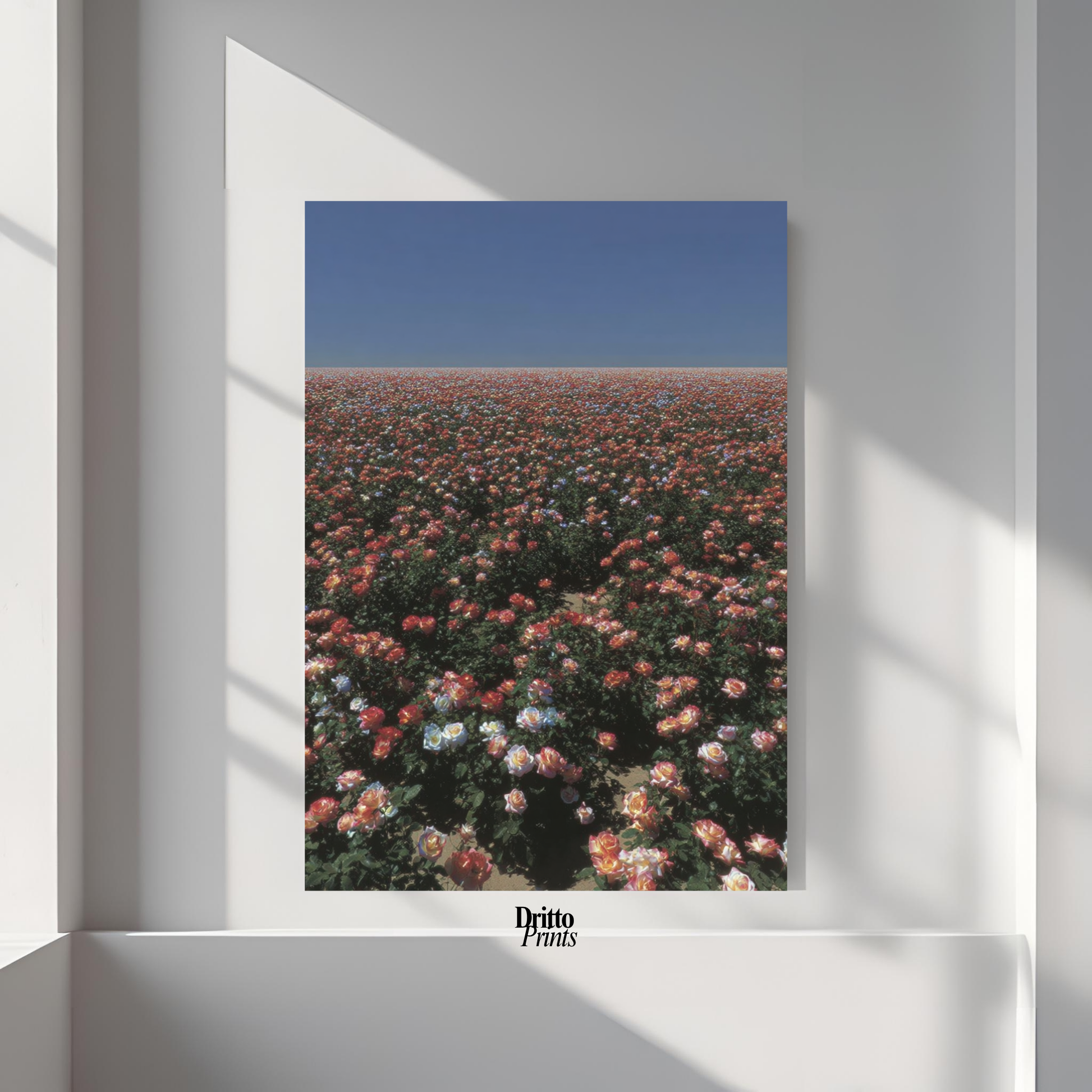 (PD28) Sea of Roses - Poster