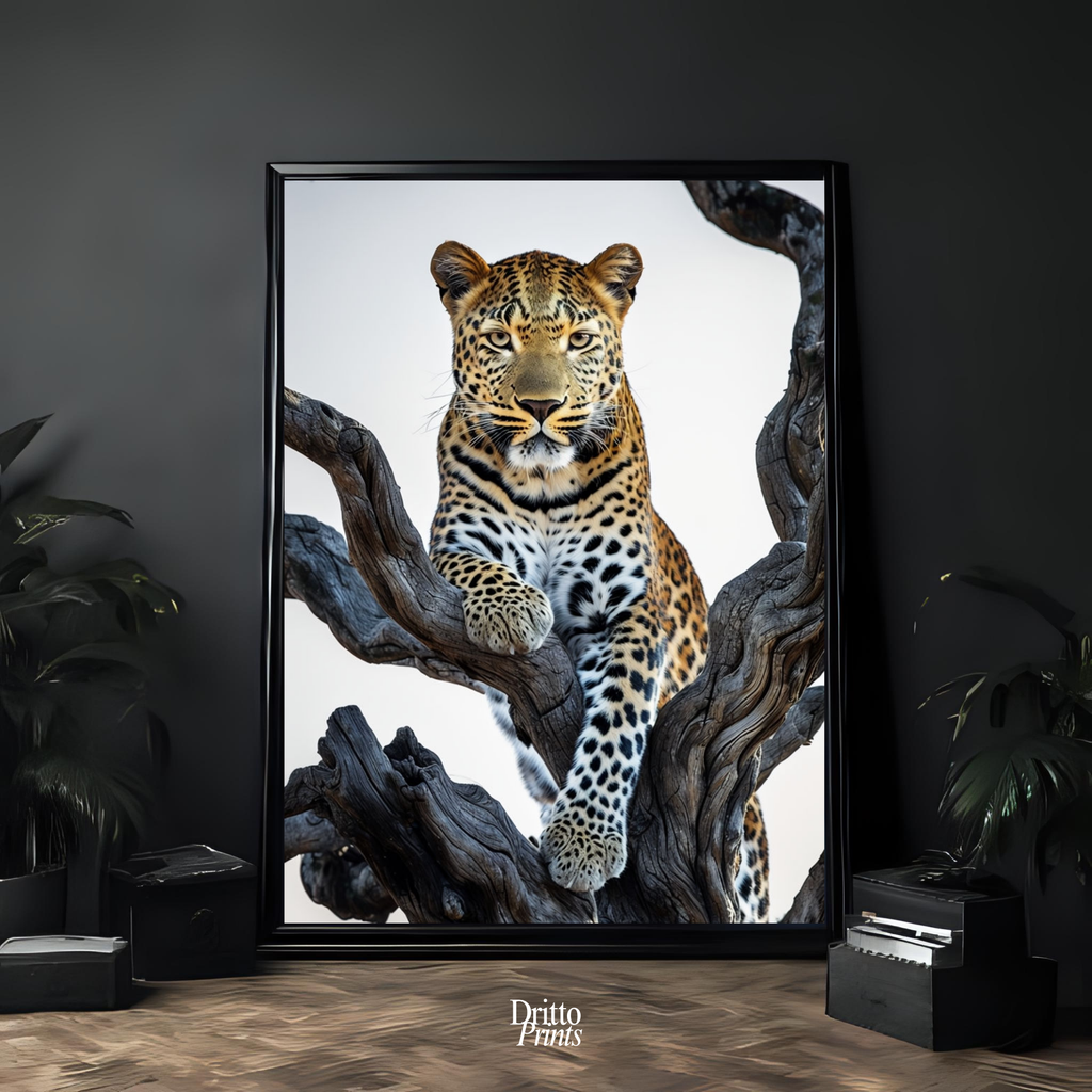 (FD14) Elegance Above All - Framed matte paper poster