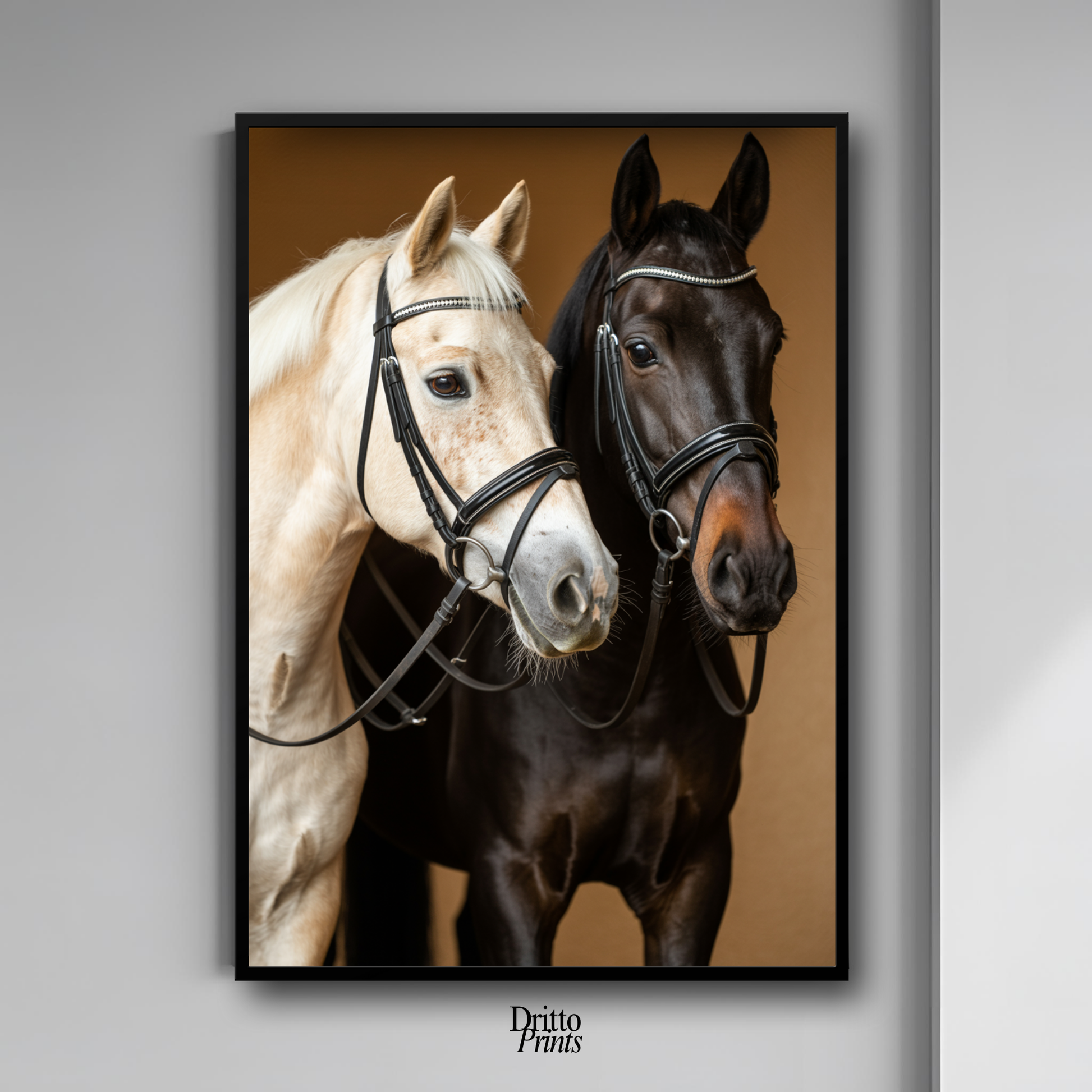(FD22) Harmony in Contrast - Framed matte paper poster