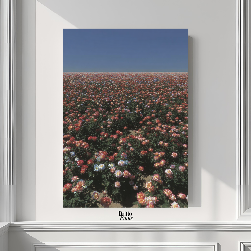 (PD28) Sea of Roses - Poster