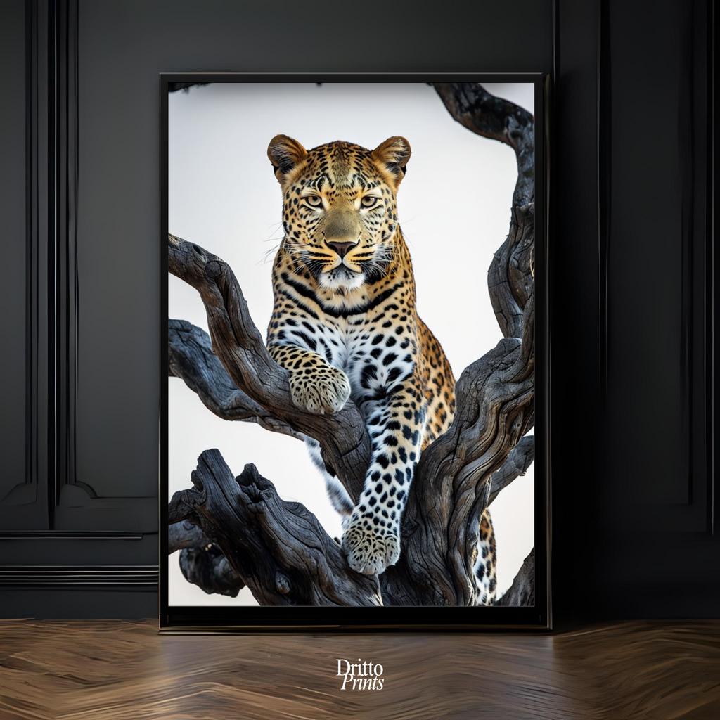 (FD14) Elegance Above All - Framed matte paper poster