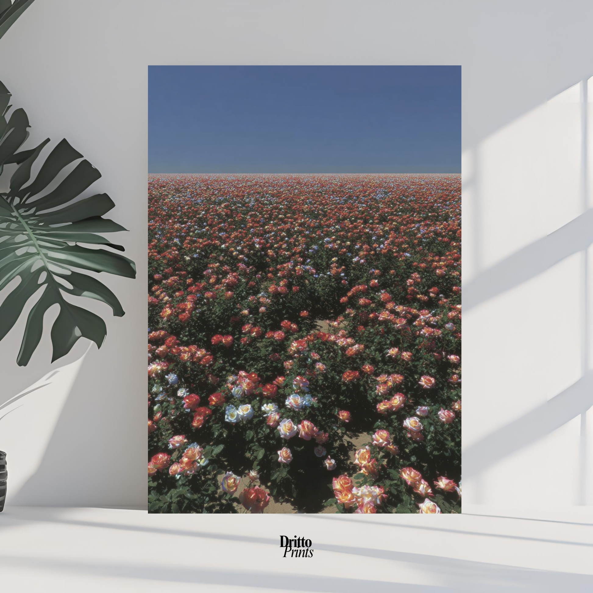 (PD28) Sea of Roses - Poster