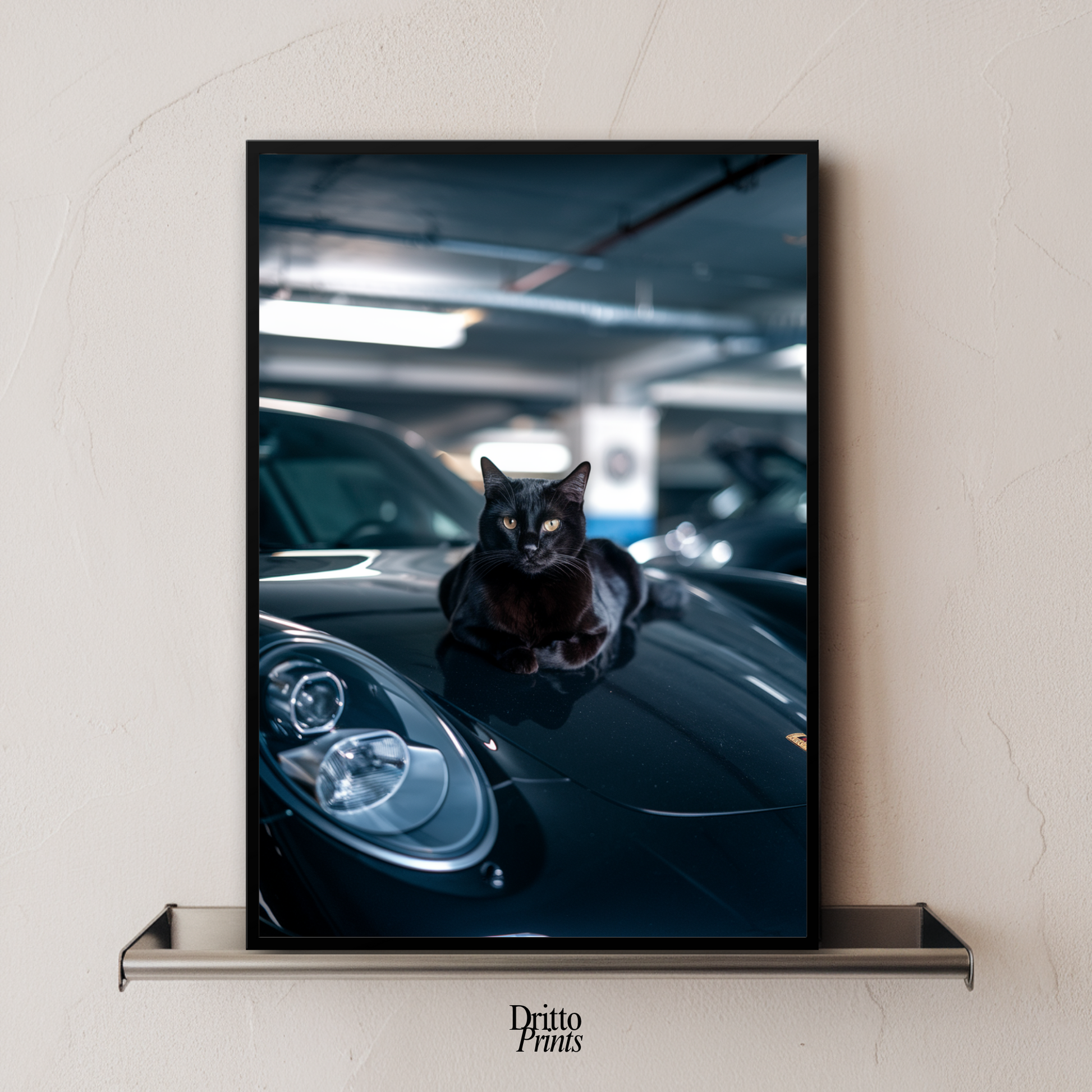 (FD9) Black Cat Turbo - Framed matte paper poster