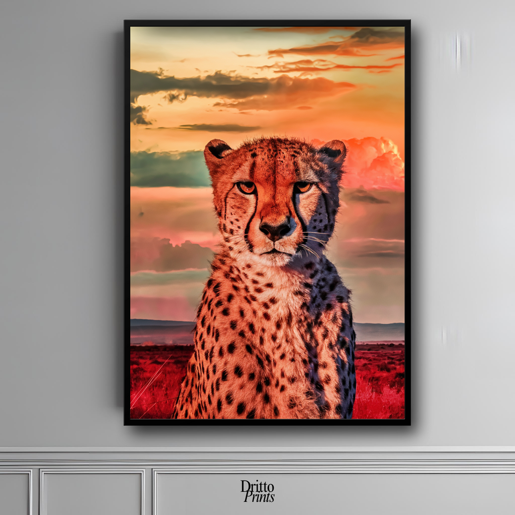 (FD12) Speed & Sky - Framed matte paper poster