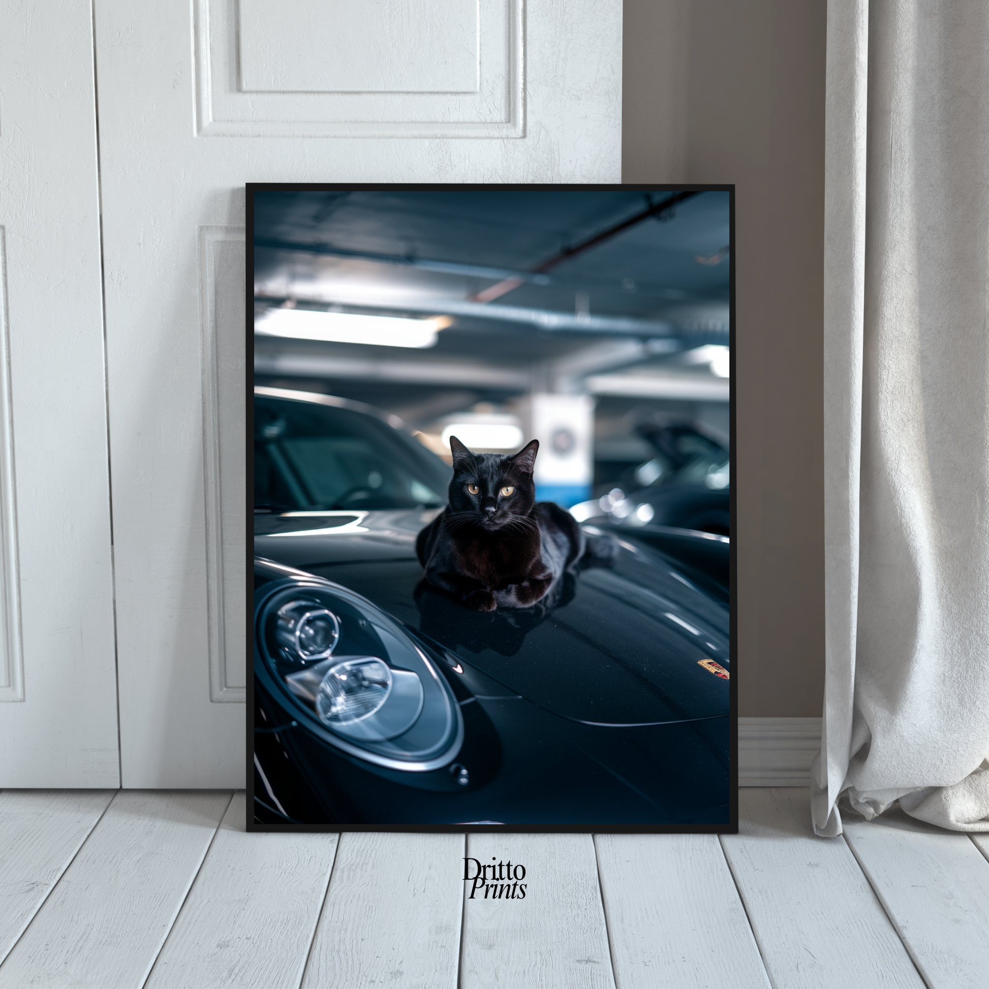 (FD9) Black Cat Turbo - Framed matte paper poster