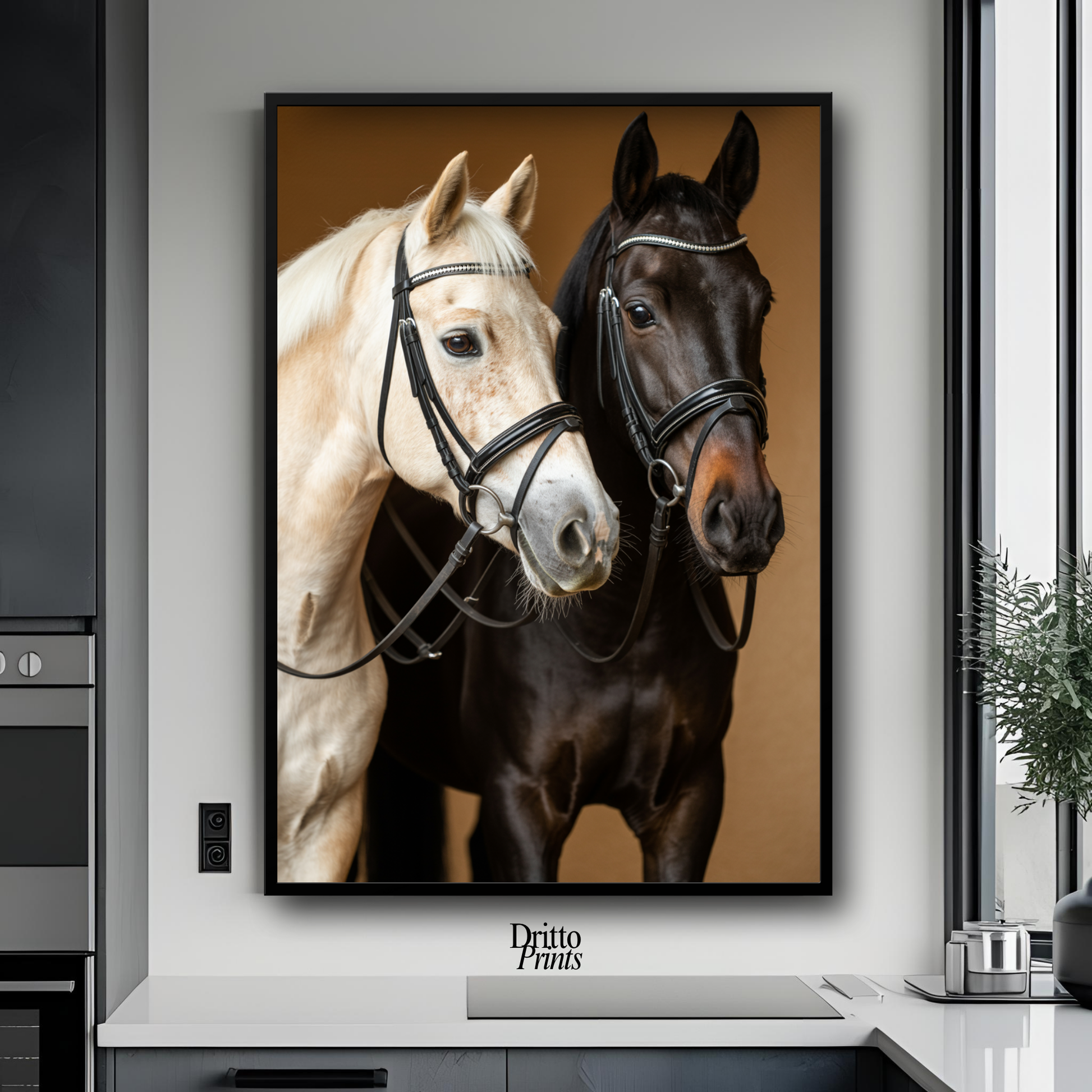 (FD22) Harmony in Contrast - Framed matte paper poster