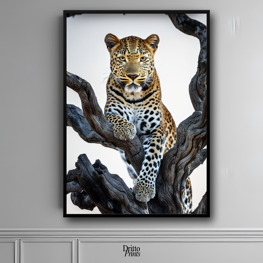 (FD14) Elegance Above All - Framed matte paper poster