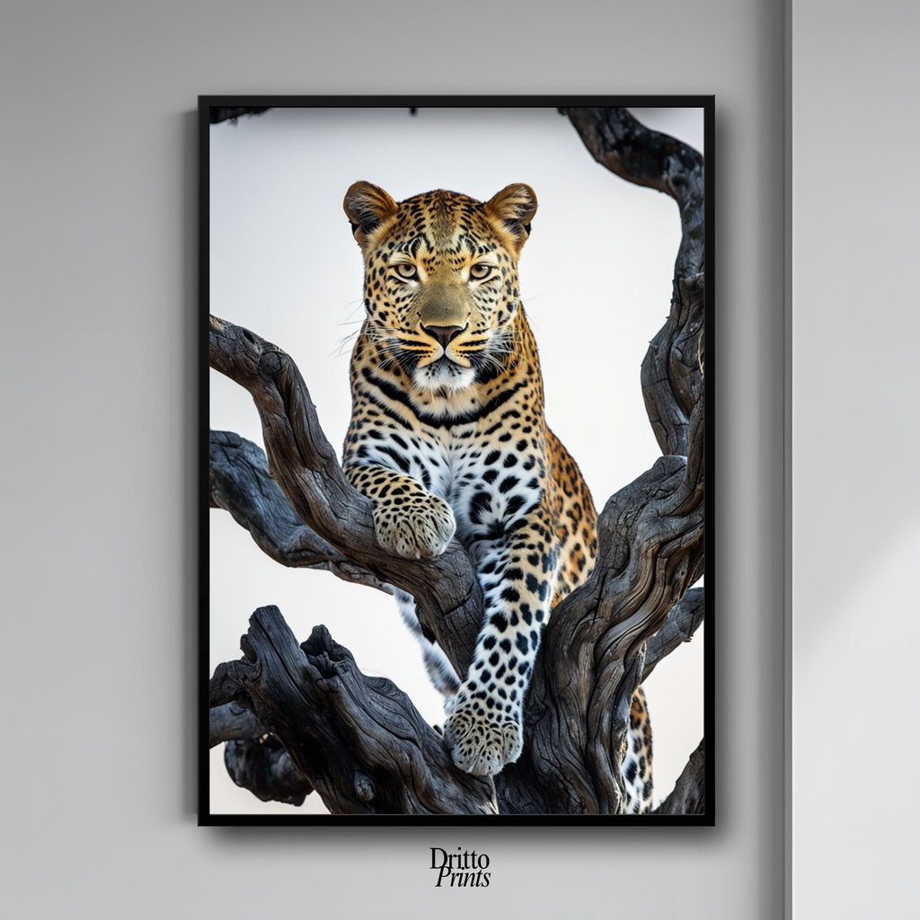 (FD14) Elegance Above All - Framed matte paper poster